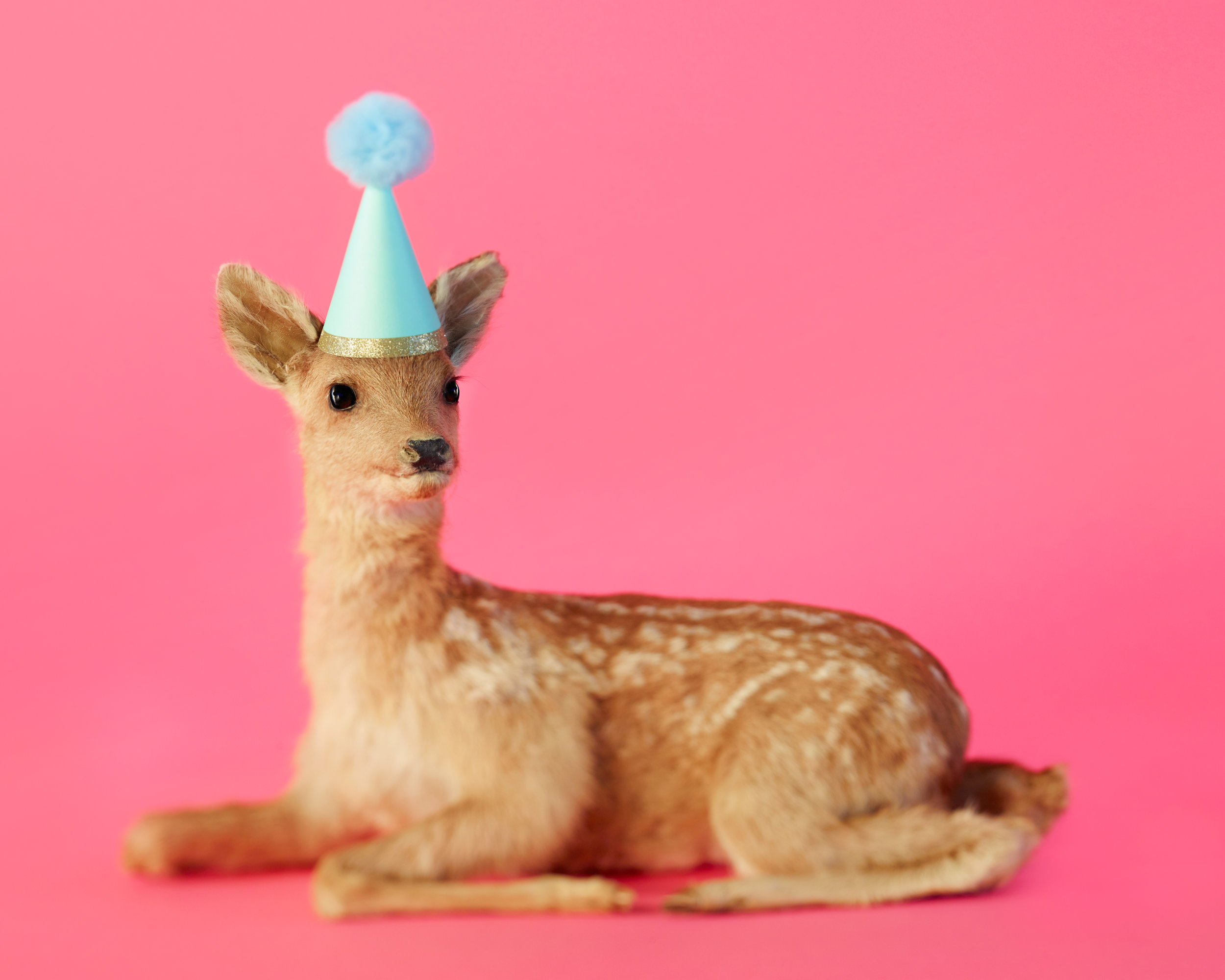 Liam_Pink Fawn w Blue Hat.jpg