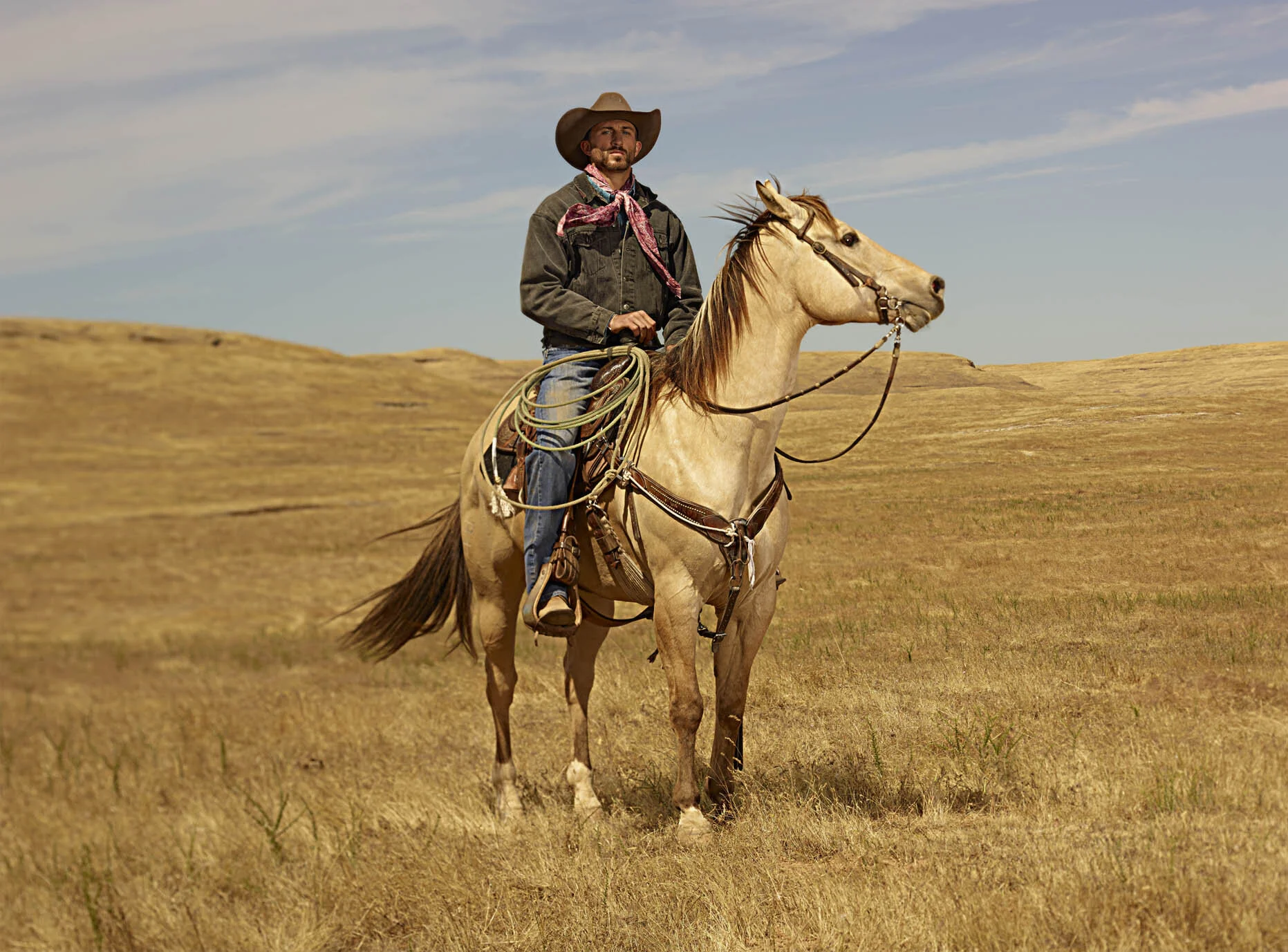 Dillon &amp; The Palomino 