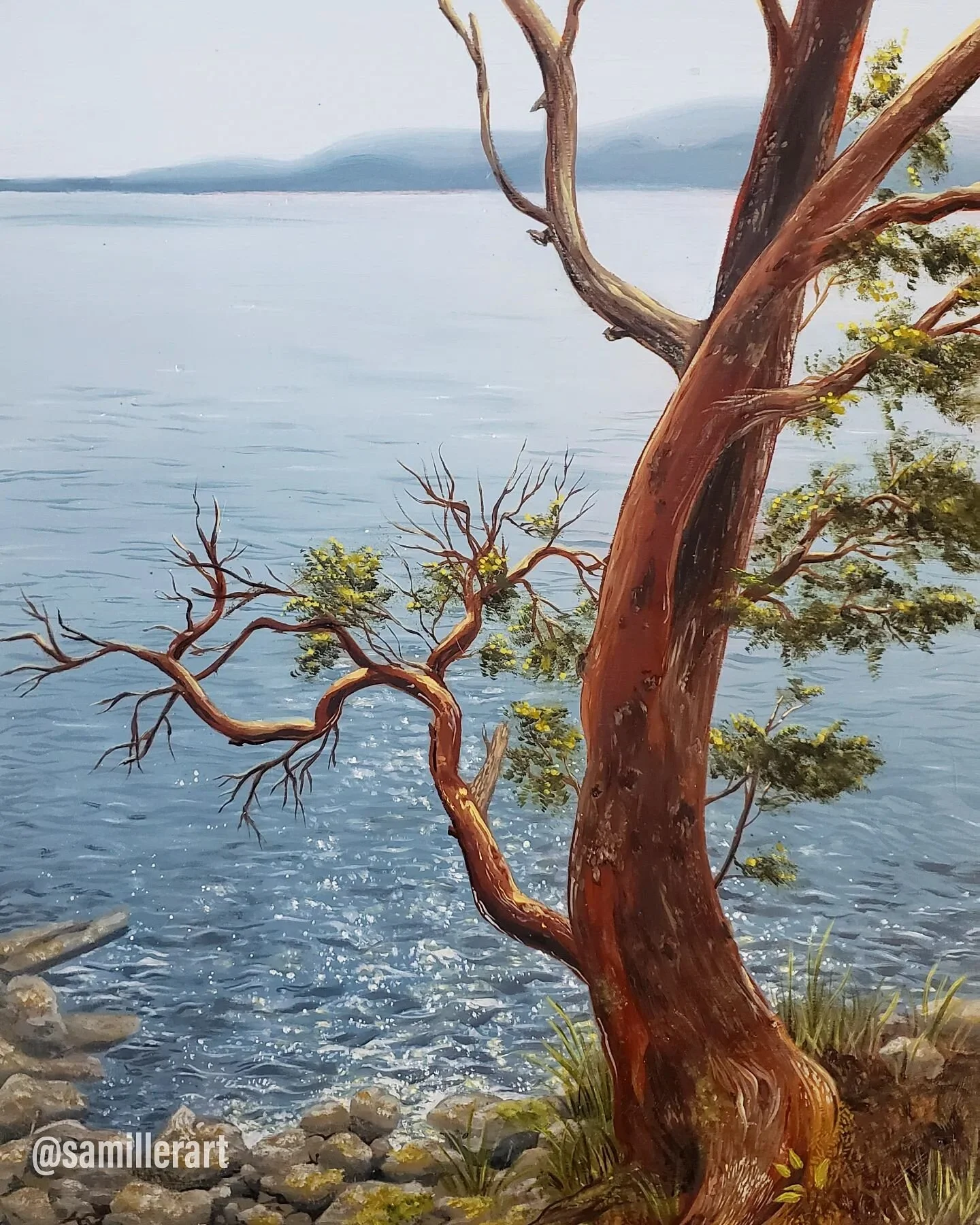 Adding another photo post for those who want to see the detail outside of the reel. I think this came out pretty well. Oil on birch panel, 12x16in.

#art #artistsoninstagram #painting #oilpainting #pnw #pacificnorthwest #pnwvibes #nature #bellinghamw