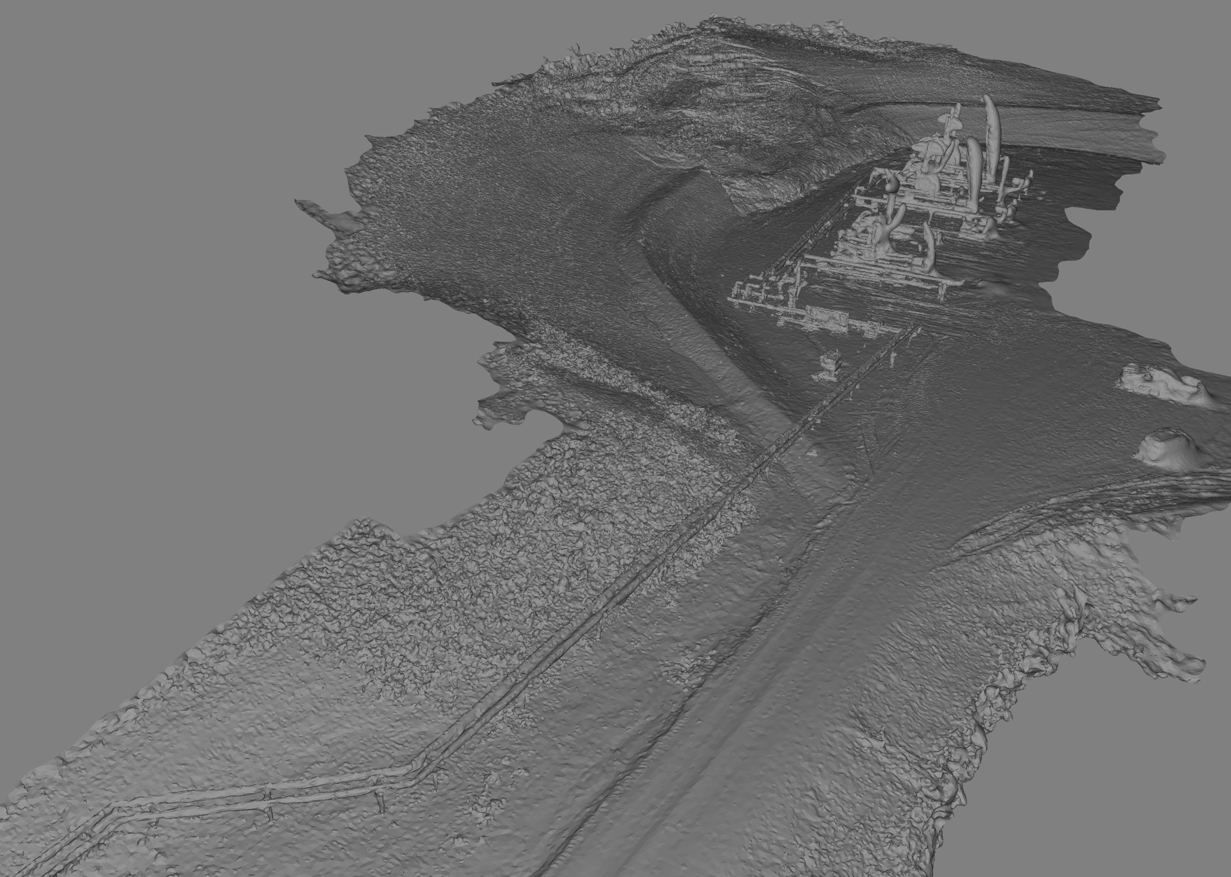 3D Triangle Mesh files provides further detail. These files can be import into review & CAD softwares and are utilized in multiple sectors.