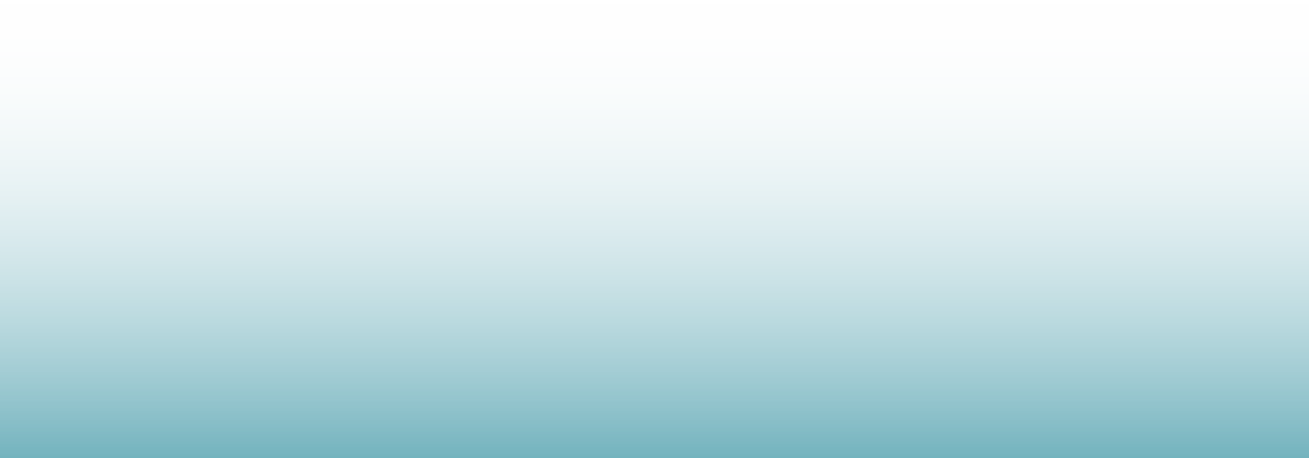 MM_Website_Banner_30 (1).png