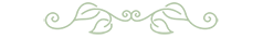 full-leaf-graphic.png