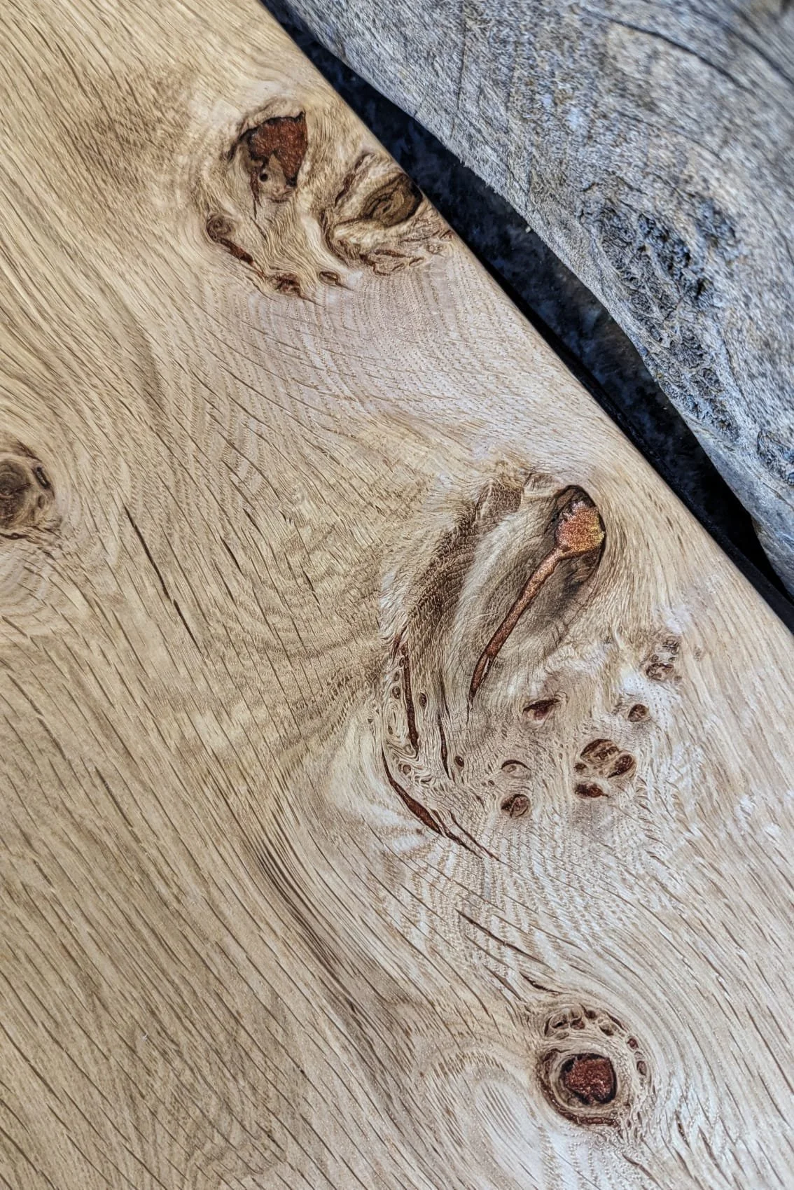 WhatsApp Image 2026-01-30 at 16.06.13 (3).jpeg