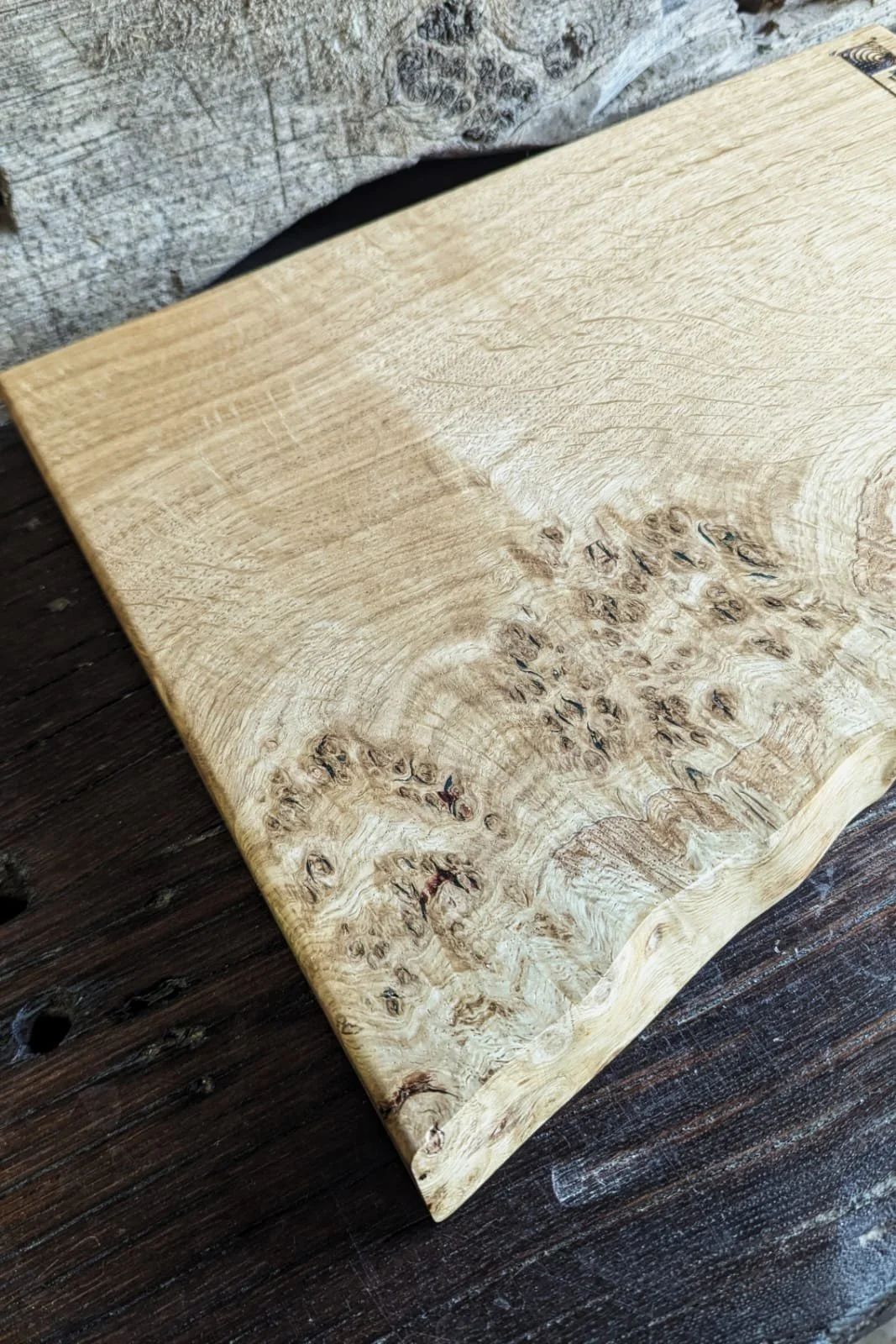 WhatsApp Image 2026-01-30 at 14.11.39 (2).jpeg