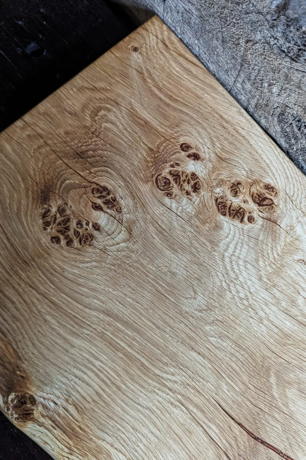 WhatsApp Image 2025-12-16 at 15.09.21 (3).jpeg