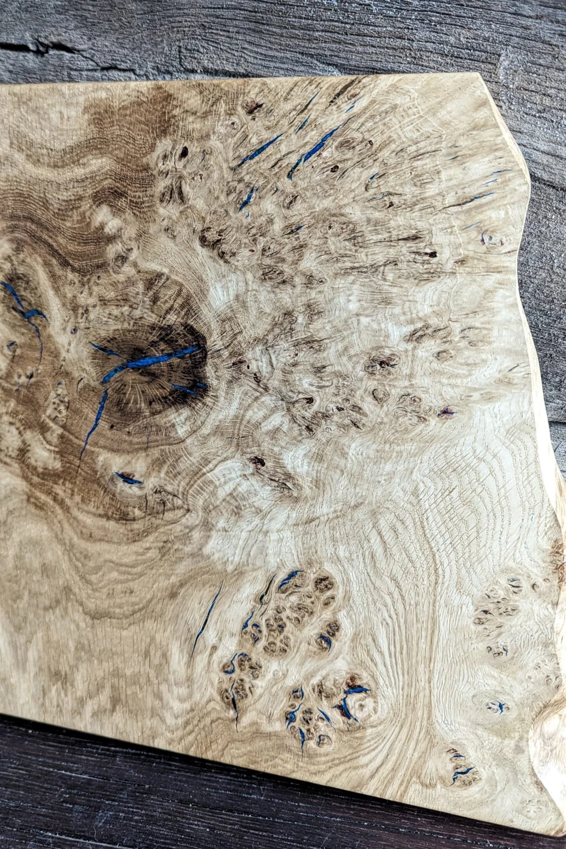 WhatsApp Image 2026-02-06 at 11.34.48.jpeg