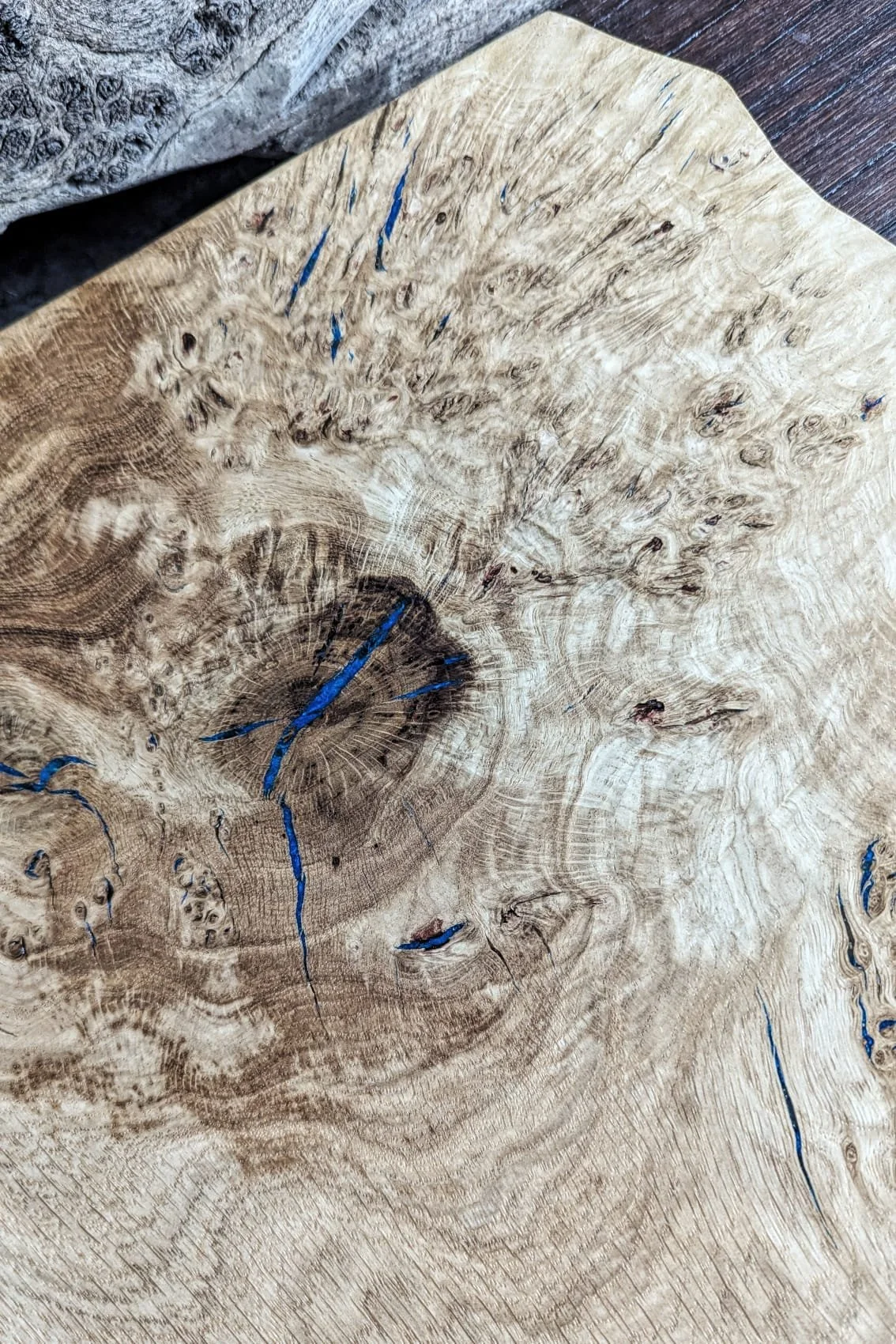 WhatsApp Image 2026-02-06 at 11.34.48 (3).jpeg