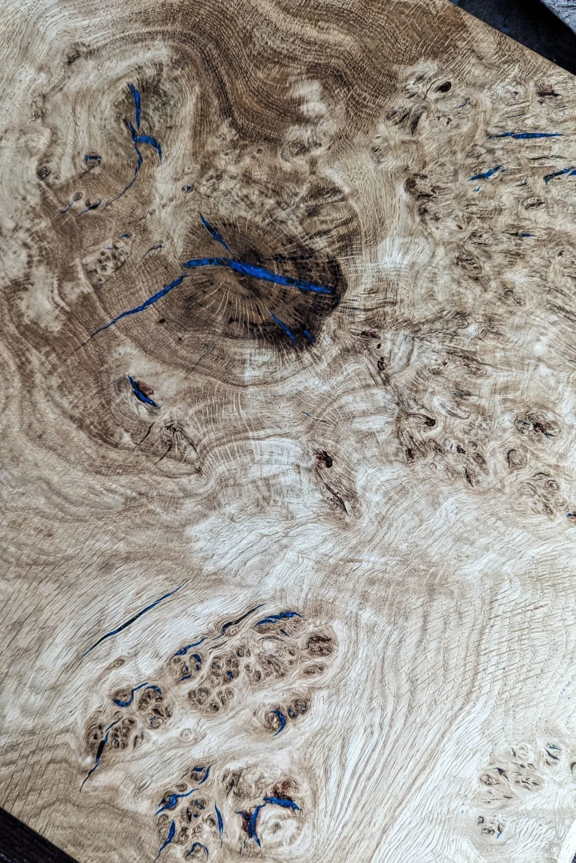 WhatsApp Image 2026-02-06 at 11.34.48 (2).jpeg