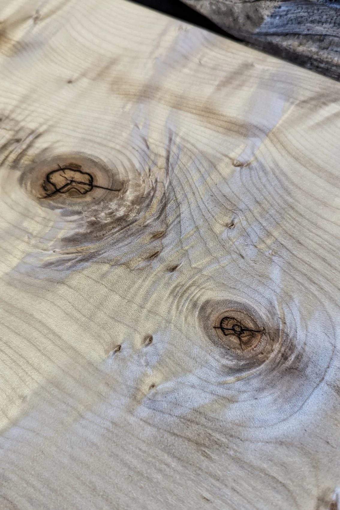 WhatsApp Image 2026-01-30 at 16.18.29 (2).jpeg