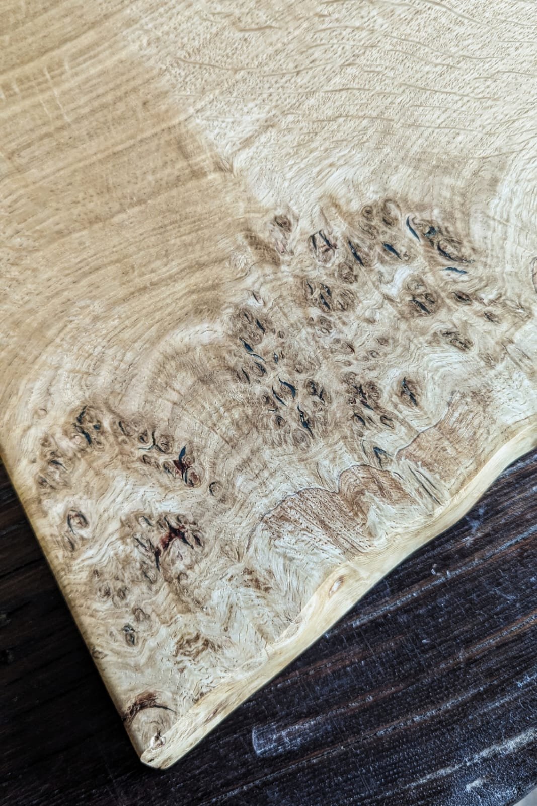 WhatsApp Image 2026-01-30 at 14.11.39 (1).jpeg