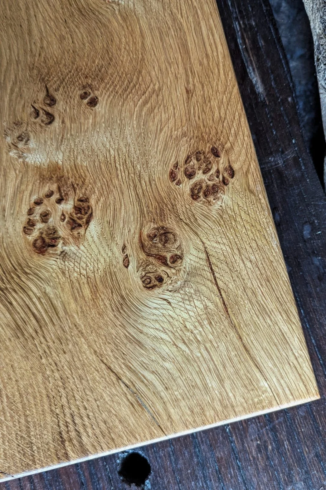 WhatsApp Image 2025-12-16 at 15.02.15 (3).jpeg