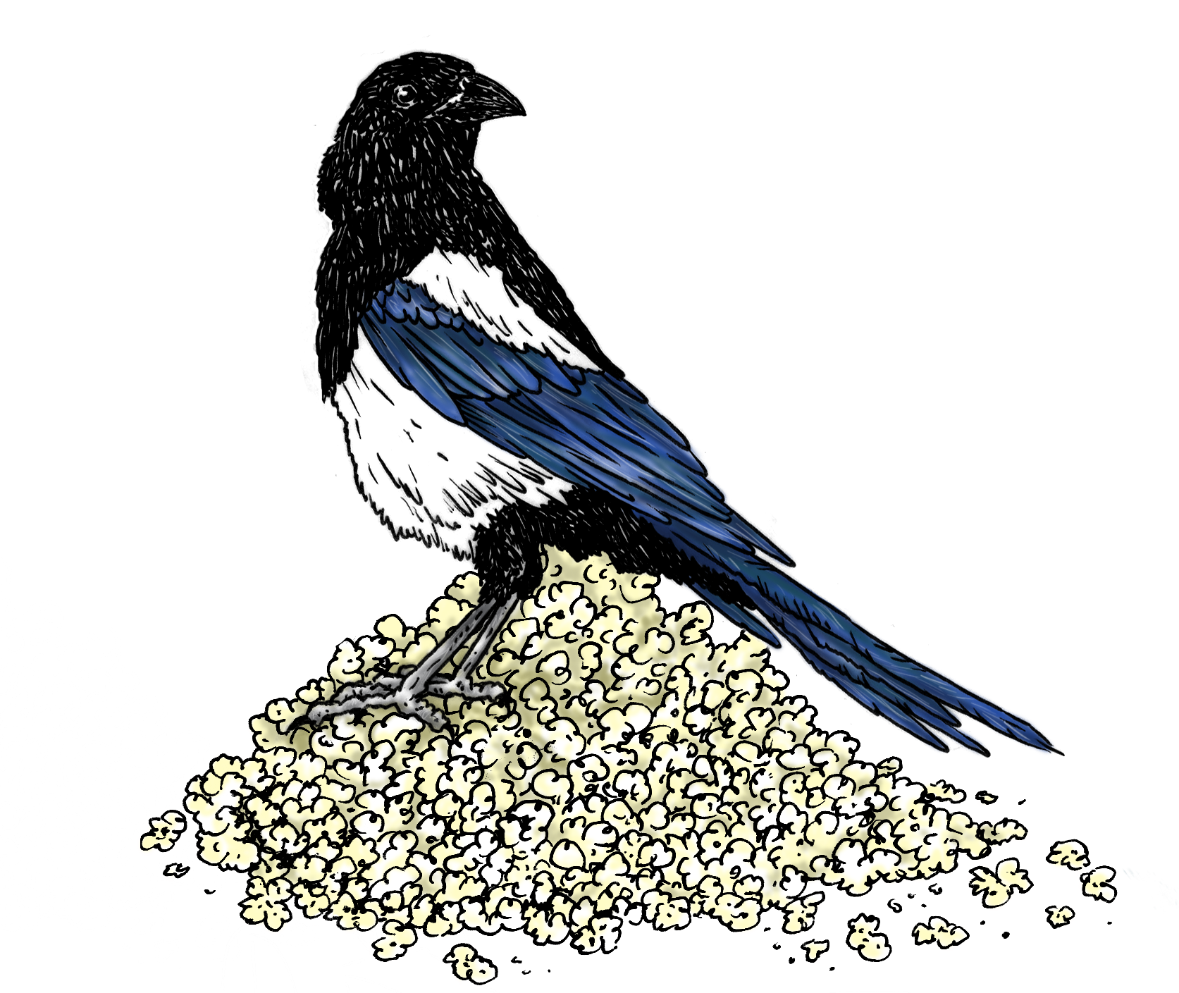 Magpie on Popcorn.png