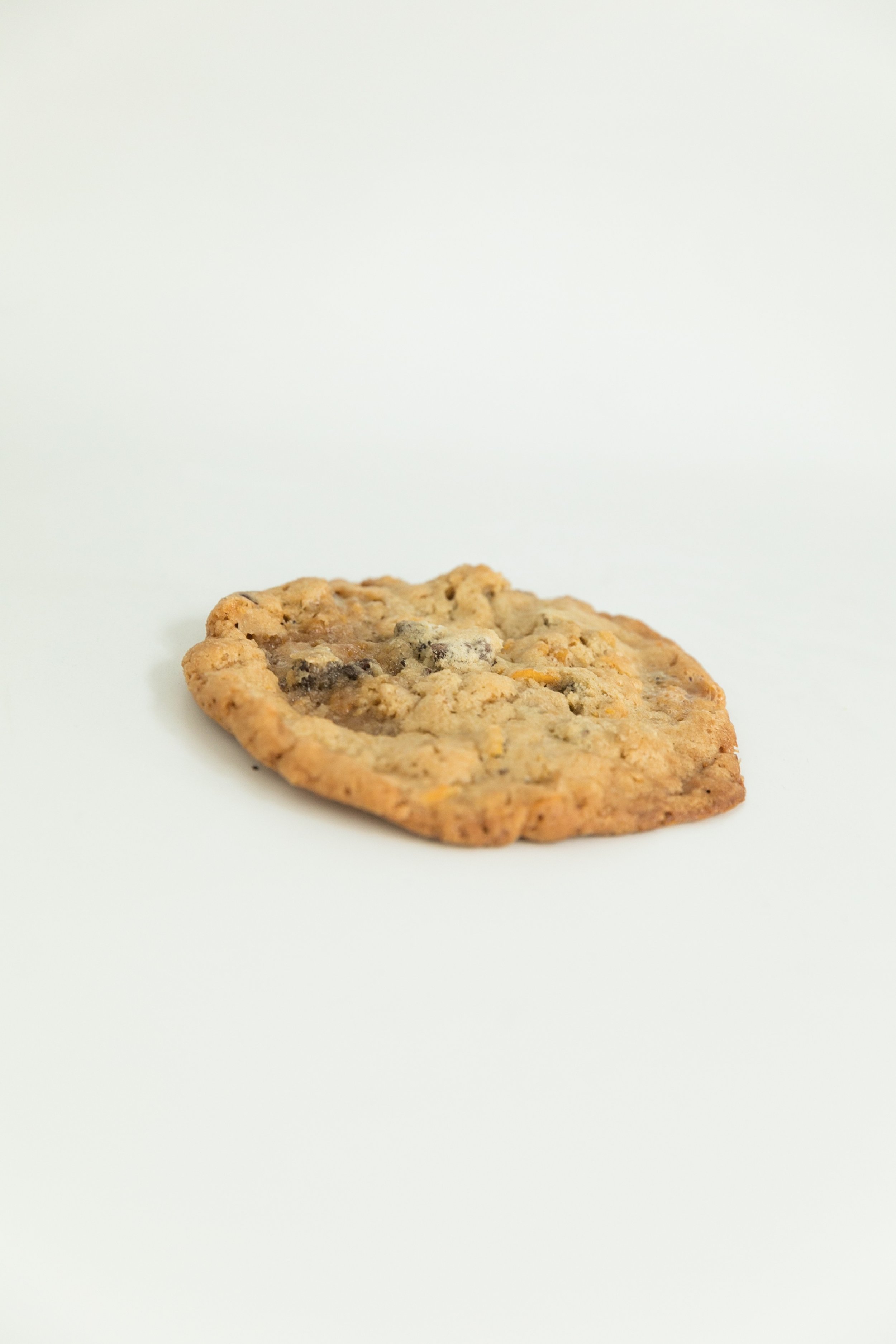  chocolate chip cookie with chocolate chunks  