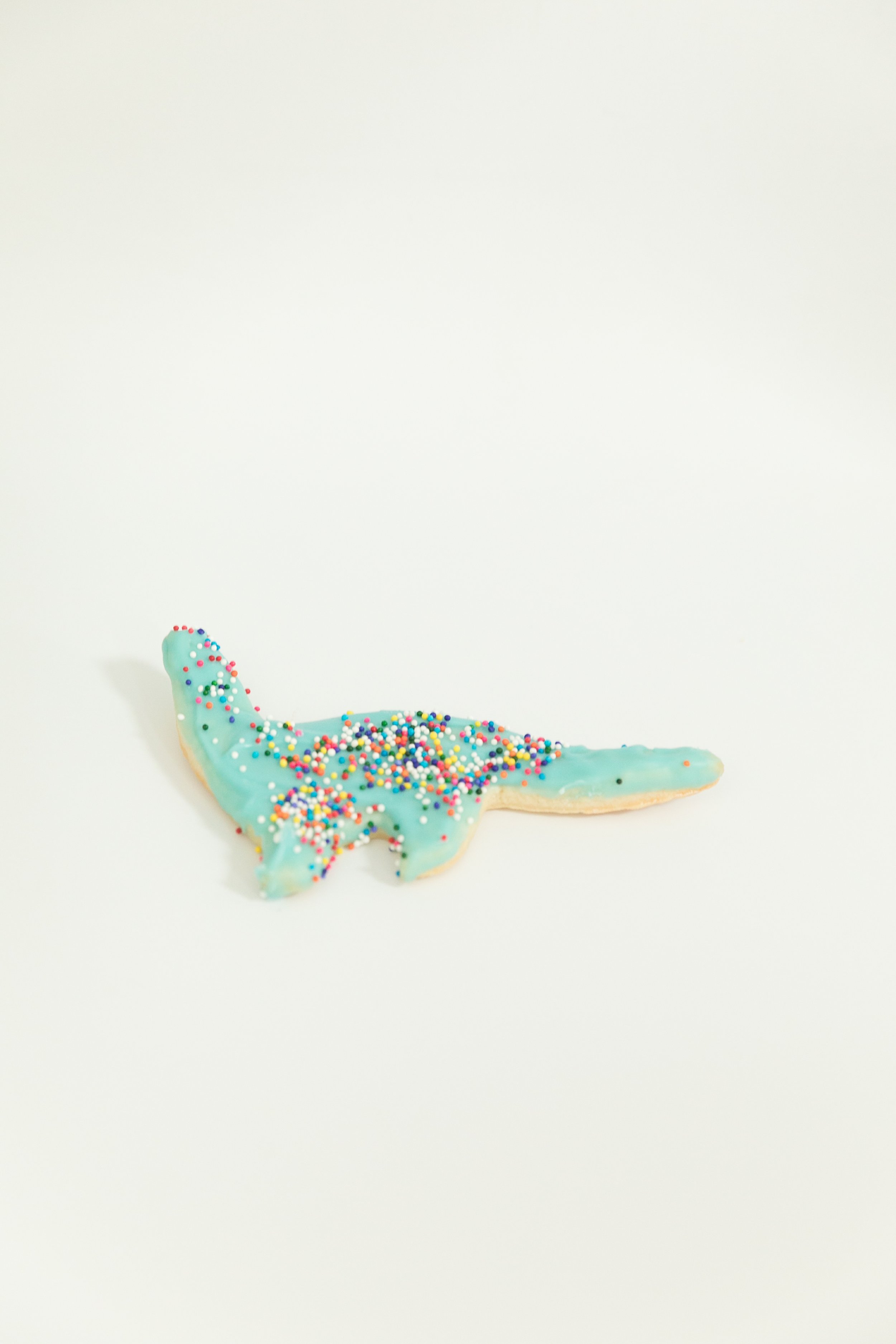  dinosaur animal cookie with sprinkles  