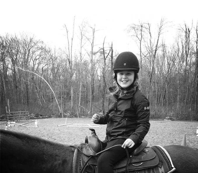 background_intro_horse3.jpg