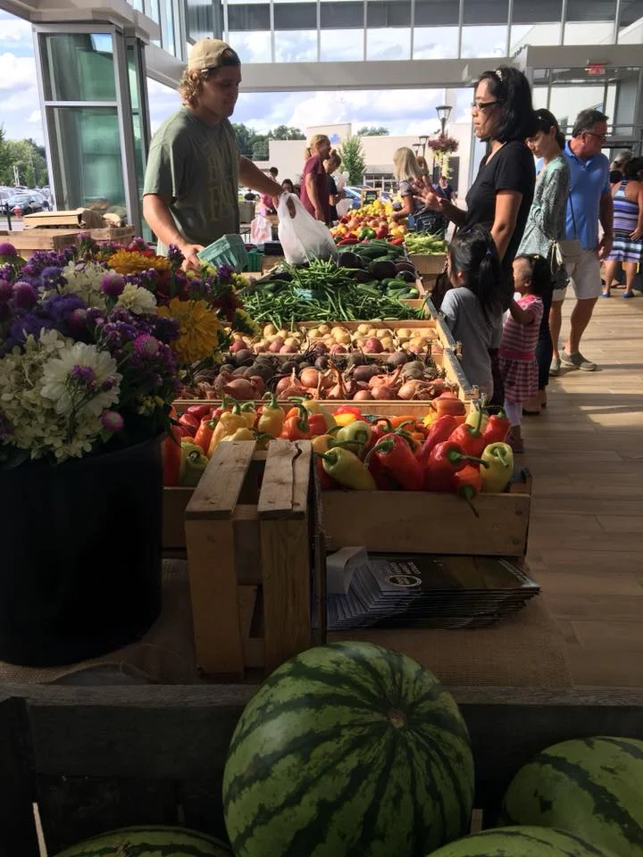 Meet Our Newest Makers for the 2018 Harvest Festival!