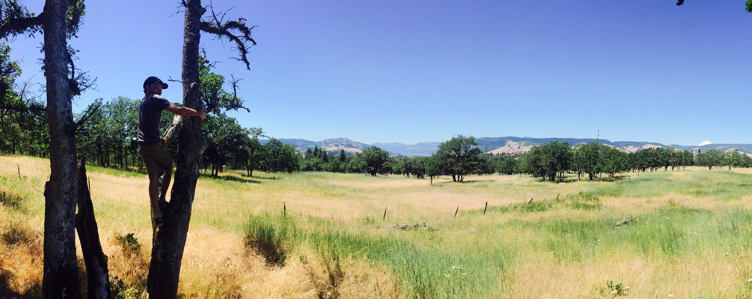 Paul Looks Out.jpg
