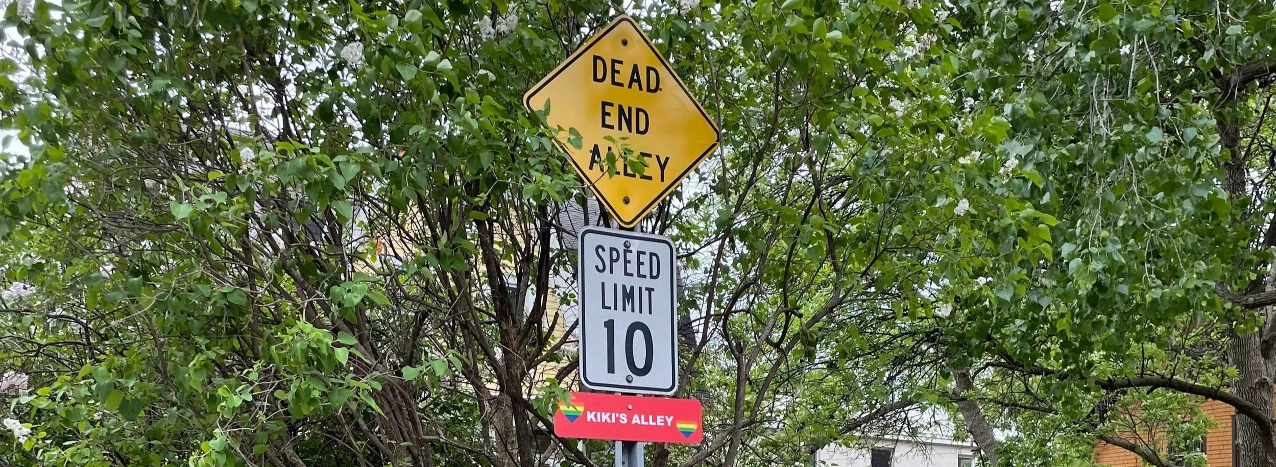 St. Anthony Park tour: Alleys in the Northeast