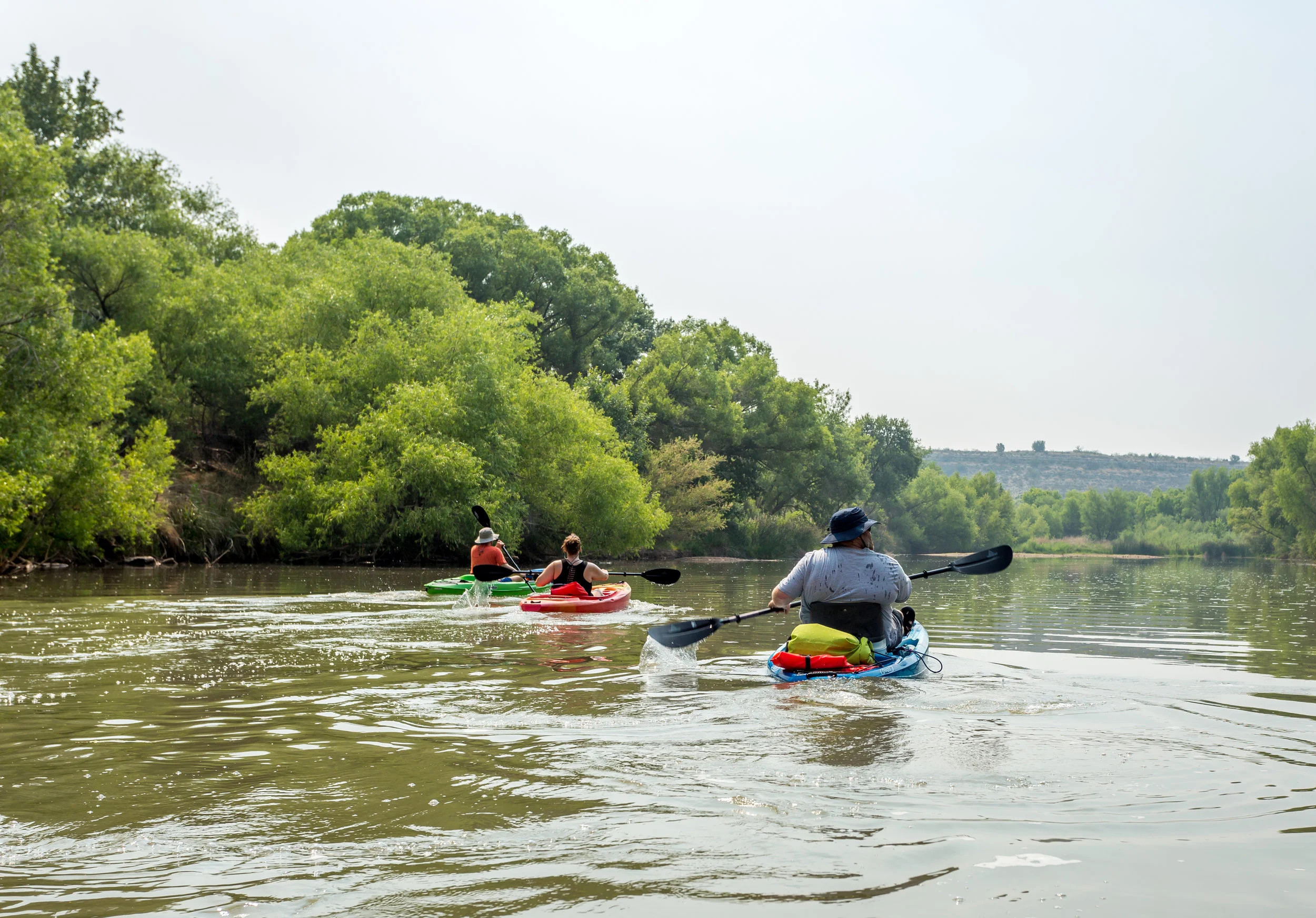 Paddlers.jpeg