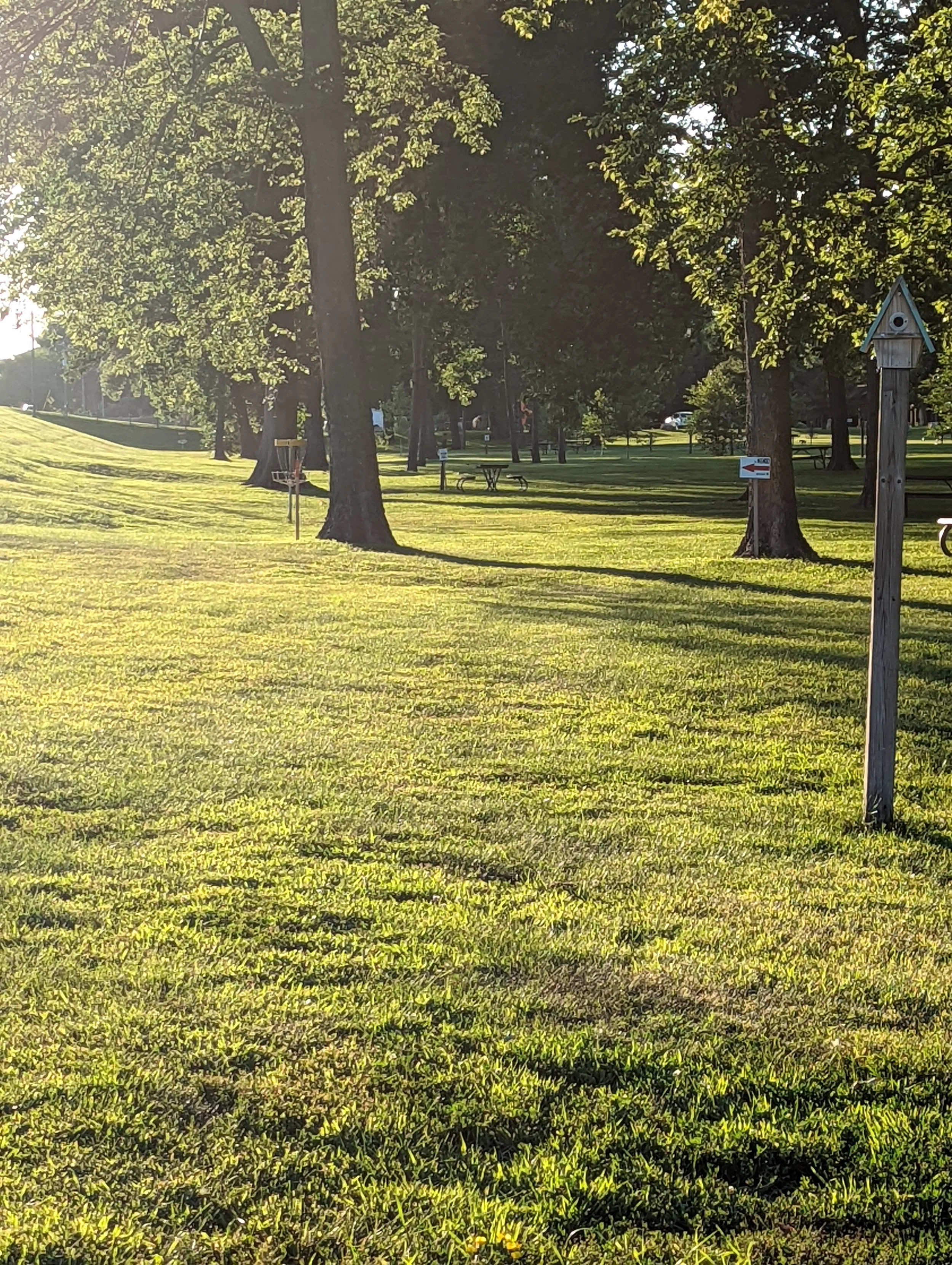 PXL_20220730_003021951.MP.jpg