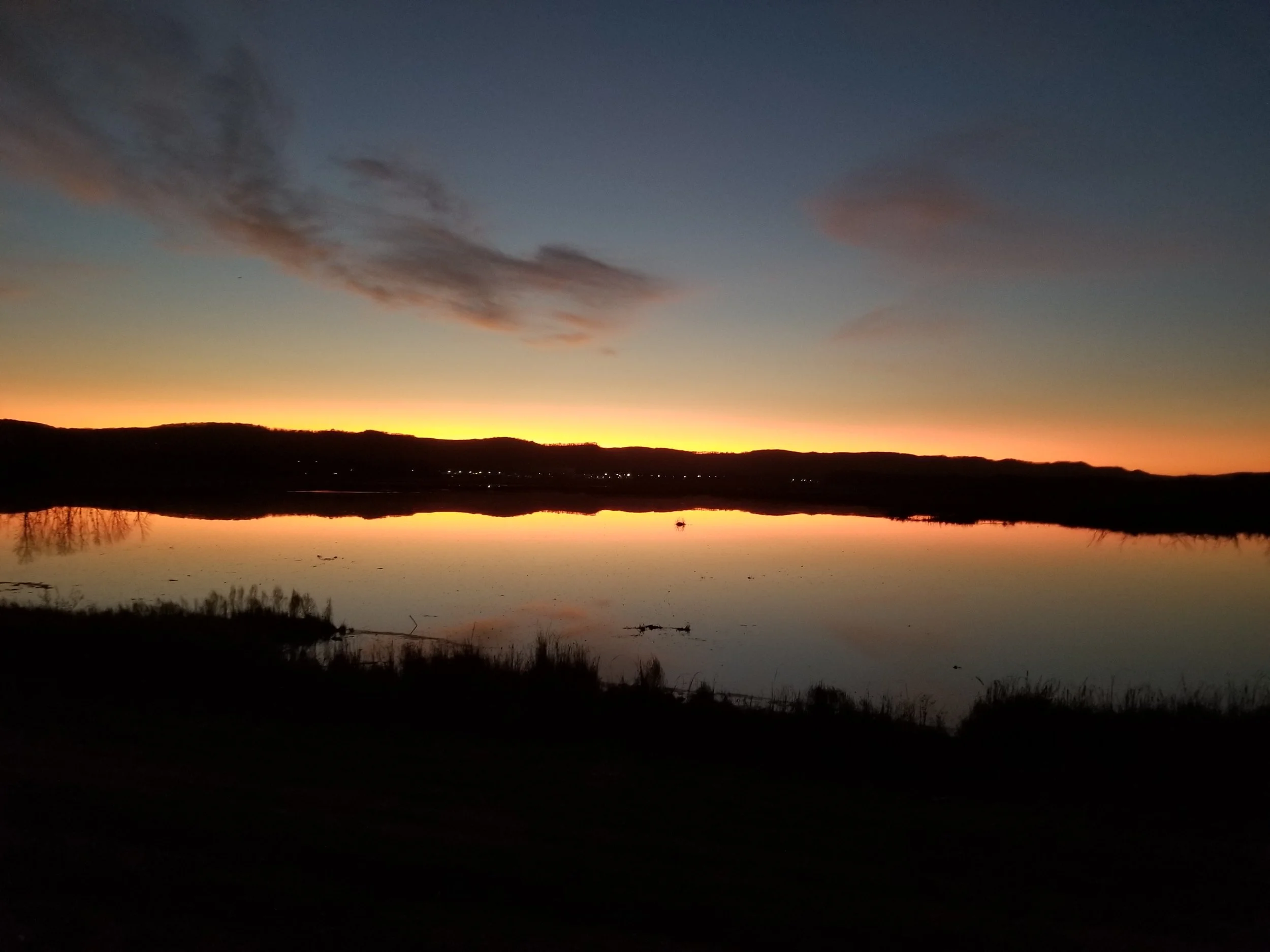 20201102_172358.jpg