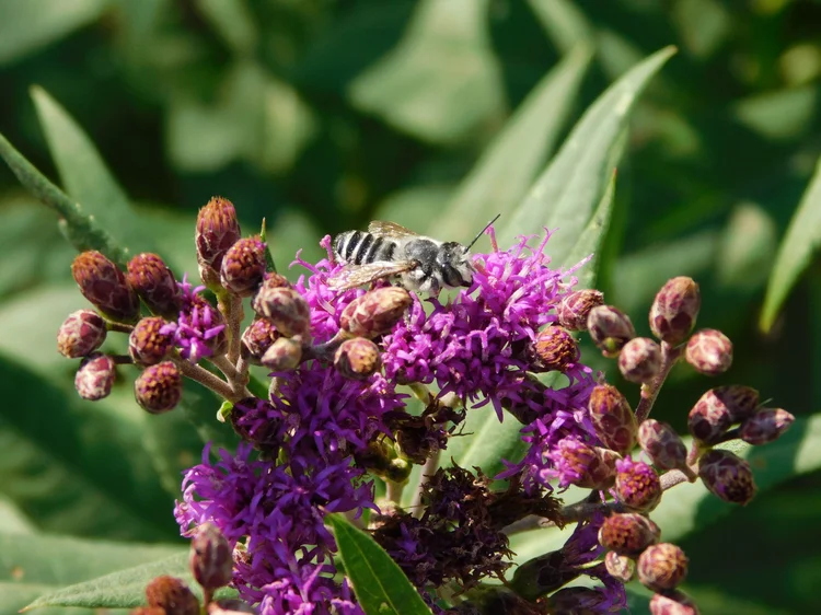 Campground Information — Prairie Island Campground