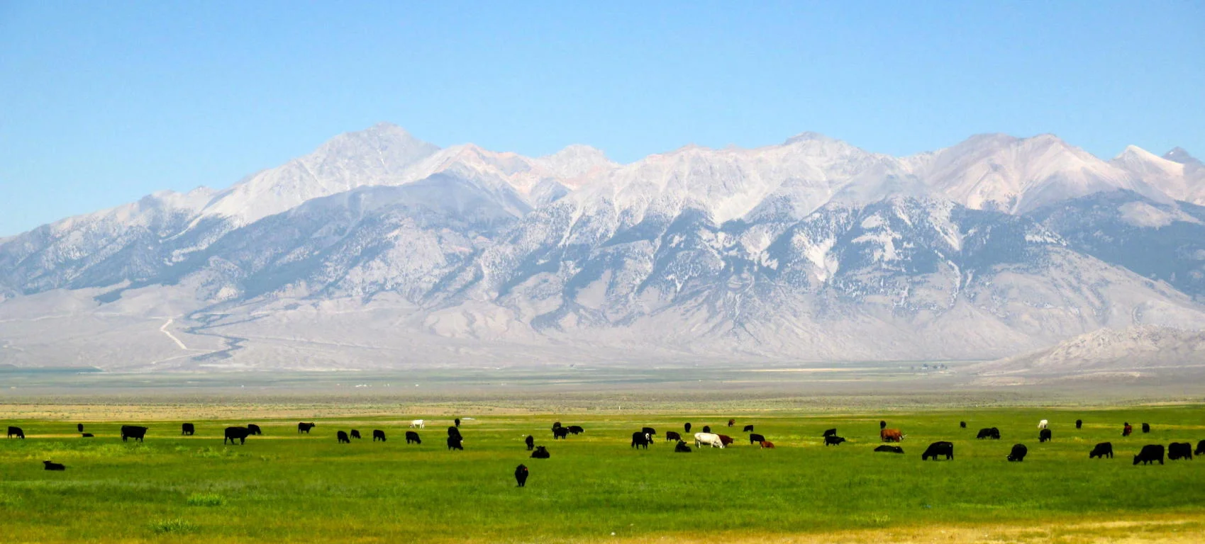 Idaho2.jpg