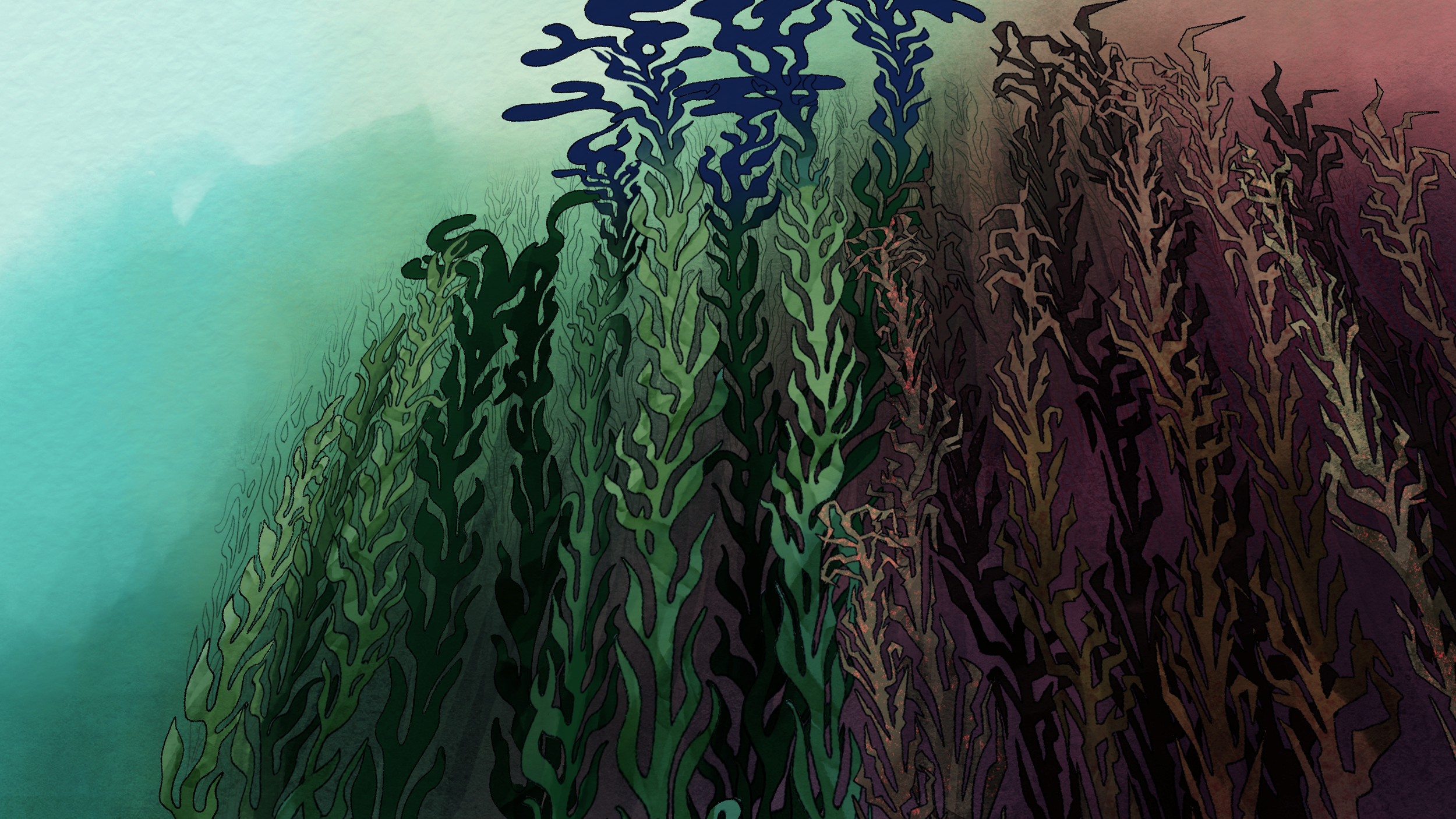 SPTM_8_BG 9_color.png