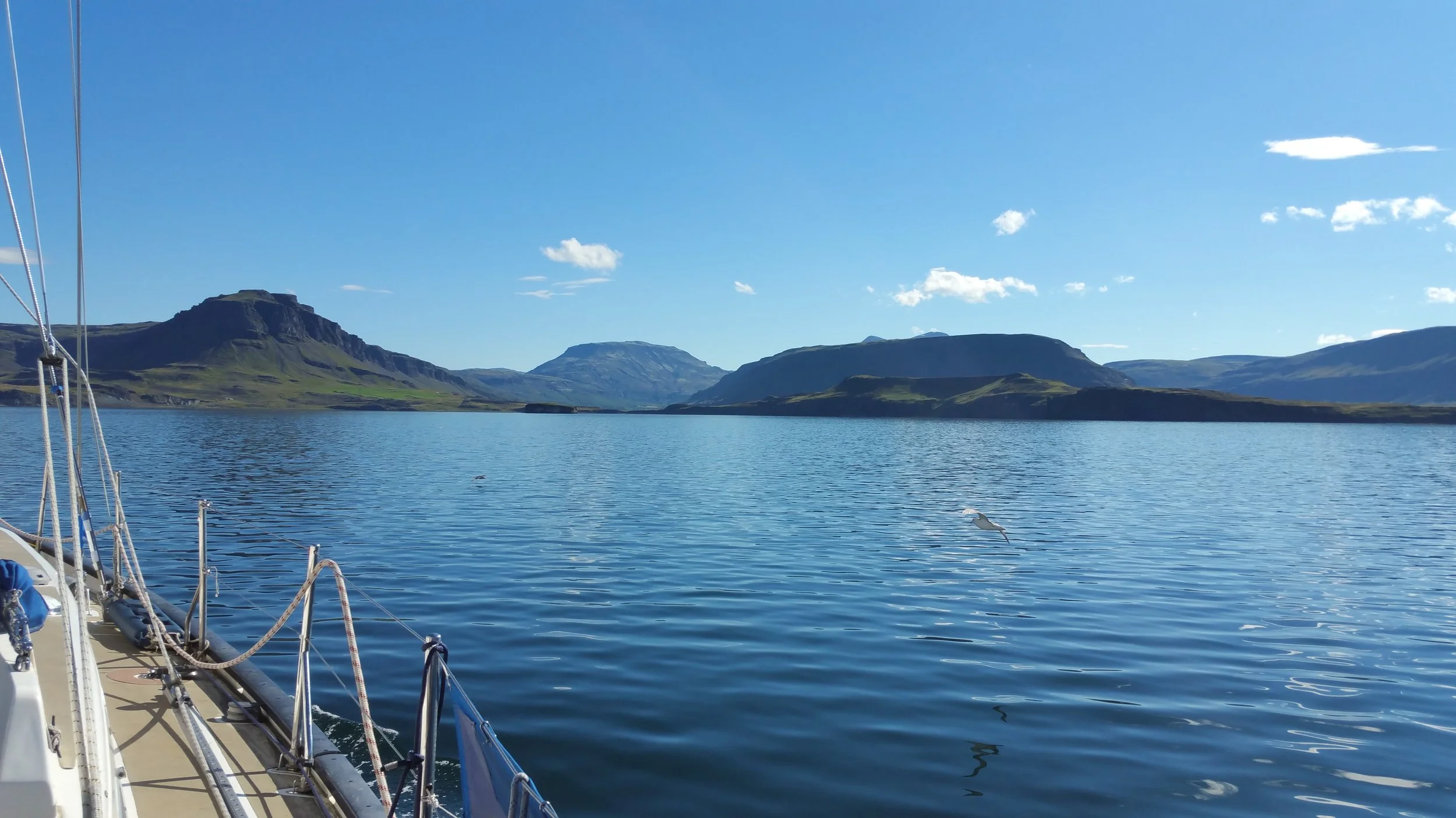 Your idyllic icelandic fjord!