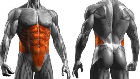 Core Health 101 in today's #WednesdayWellness. Link in Bio.