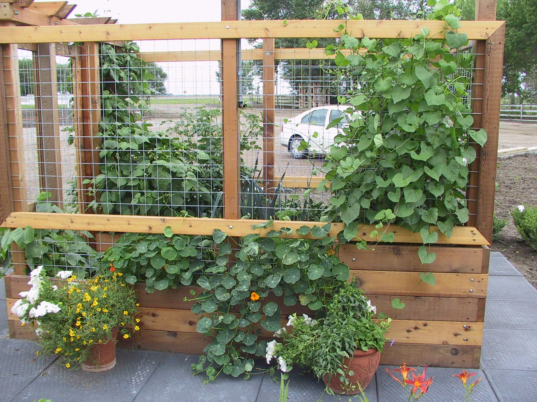 raised-bed-veggie-garden.jpg