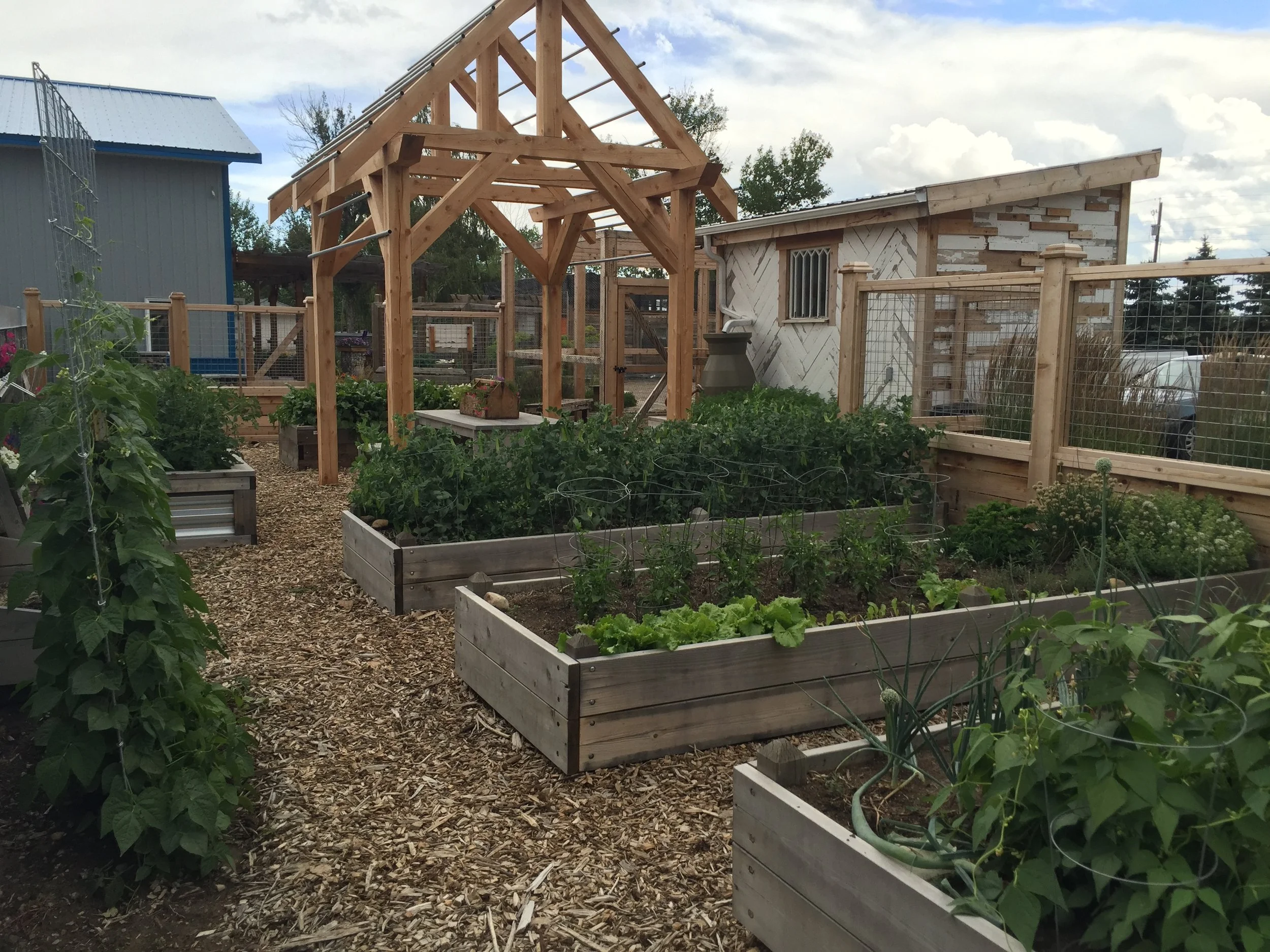 raised-bed-vegetable-garden-lethbridge.jpg