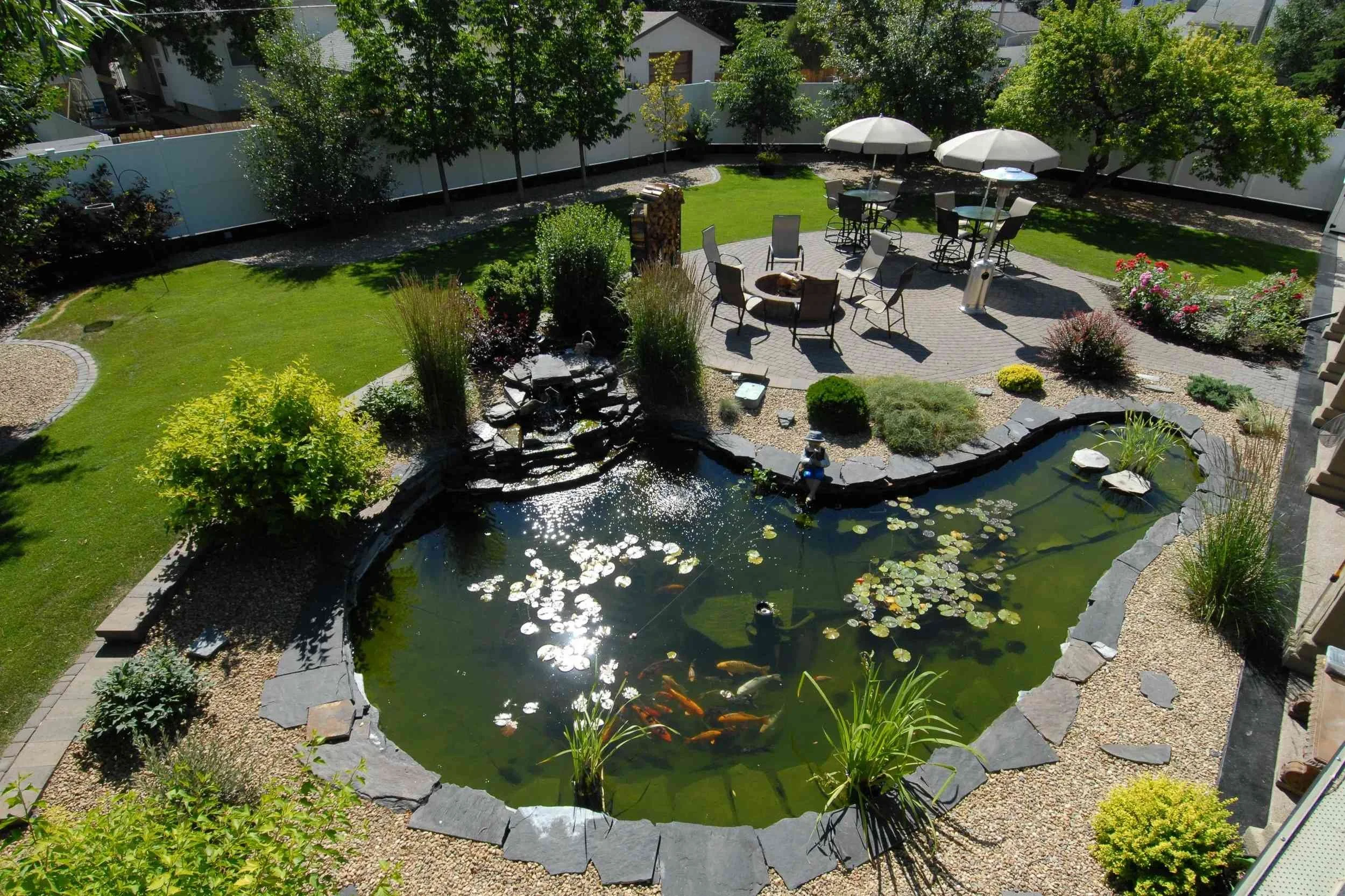 Orange koi swim in a sun-dappled pond topped with lily pads. The pond is surrounded by patio, perennials, gravel and lawn