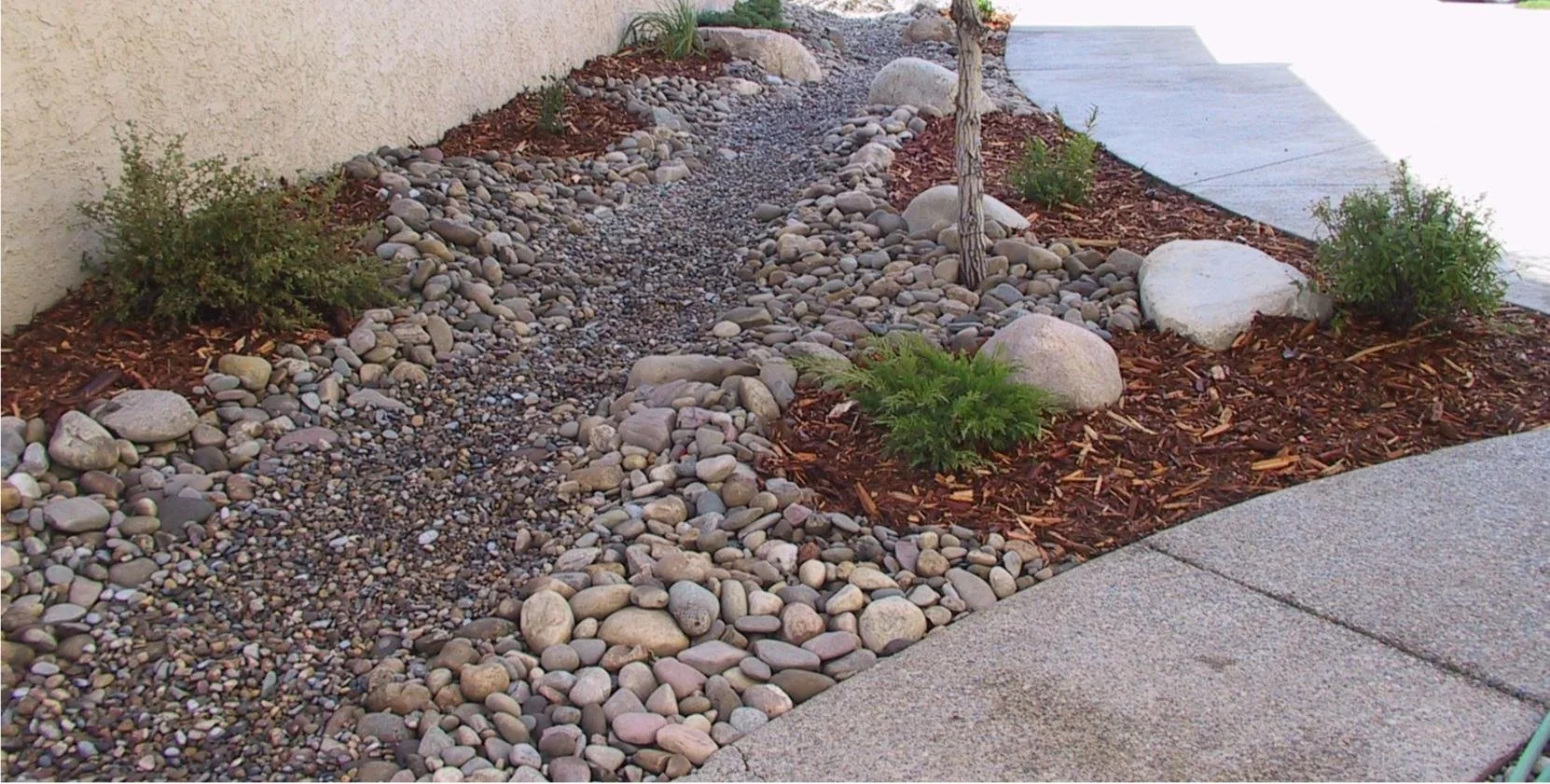 A design blending gravel, stones, mulch and evergreens is a stylish and water-wise alternative for yards.