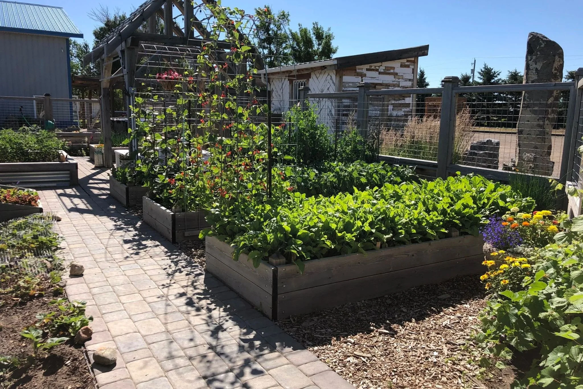 Spring garden-maxxing tips