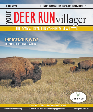 Our June Newsletter is Here