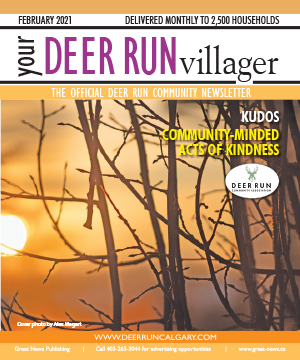 DR-Villager-Cover-202102.png