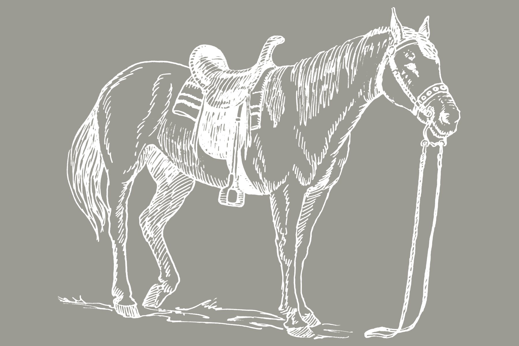 Untitled design (3).png