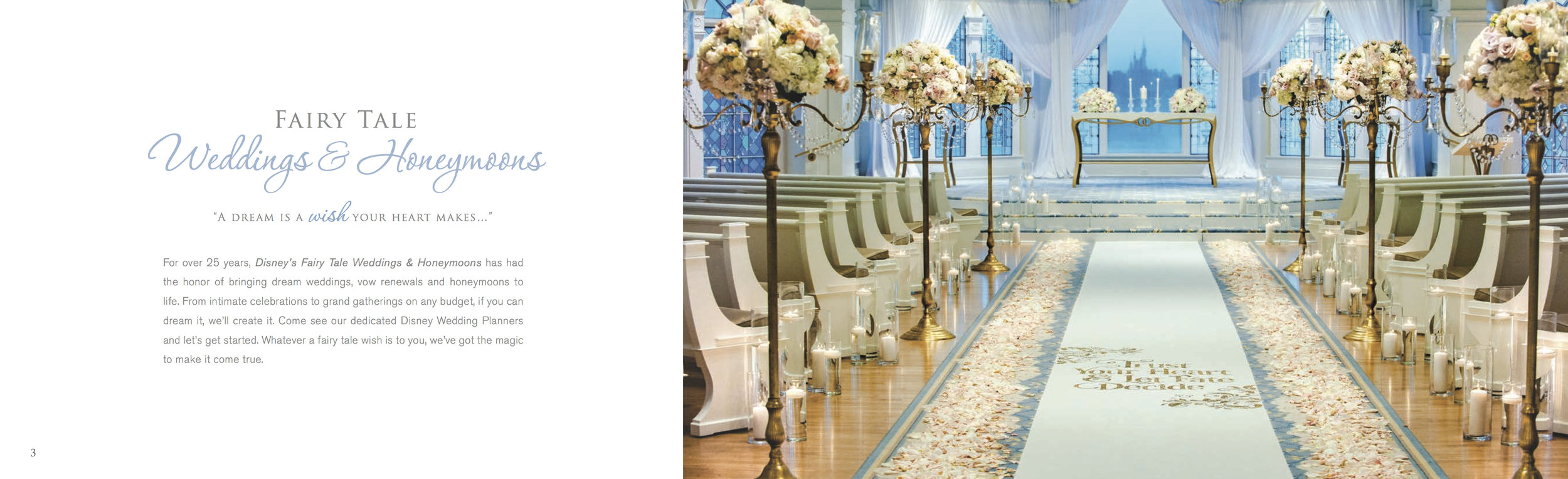 Disney S Fairy Tale Weddings Honeymoons Brochure Banners