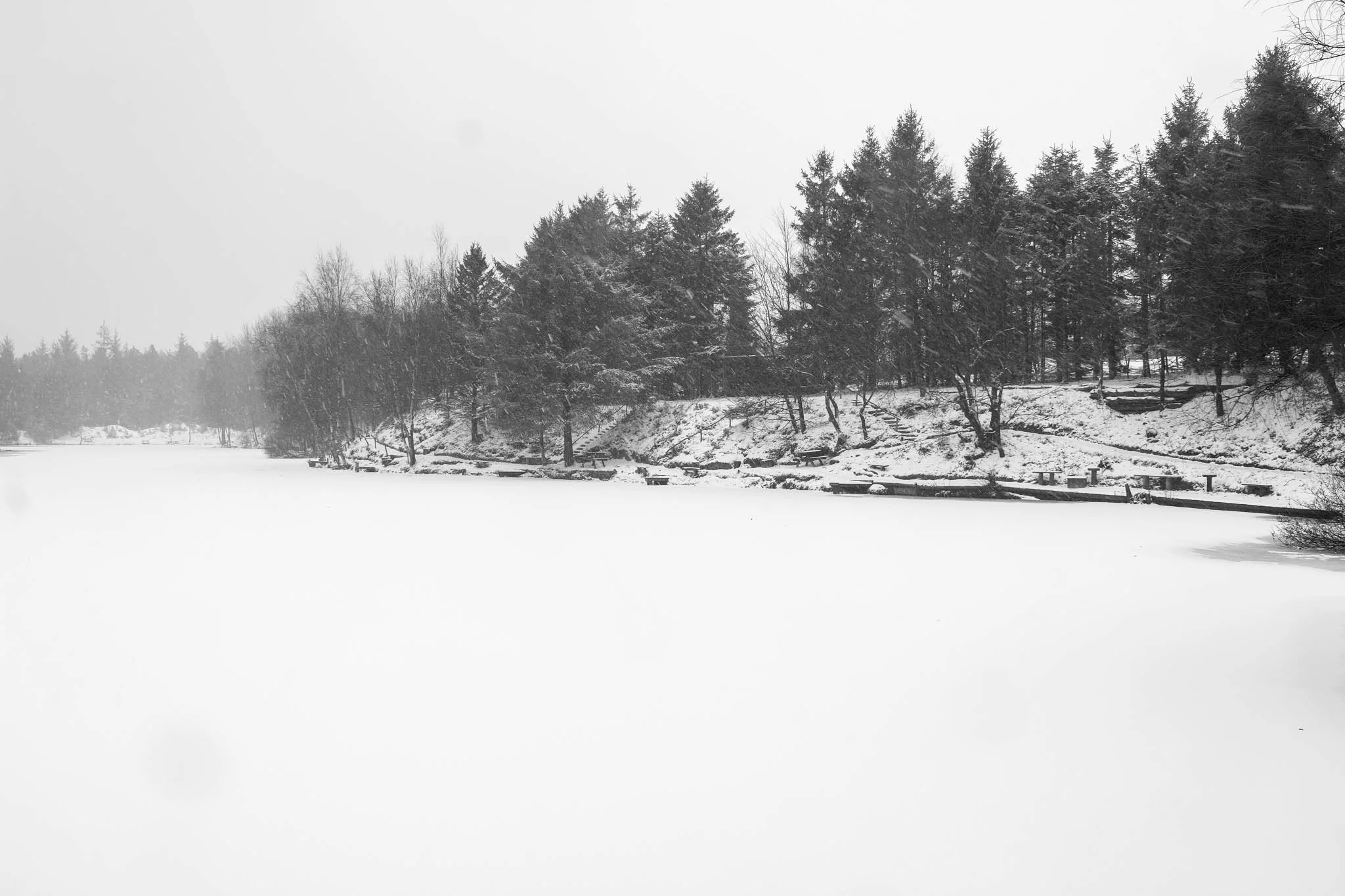 Bjerrely_Fiskesø_Snow_Sne_landscape.jpg