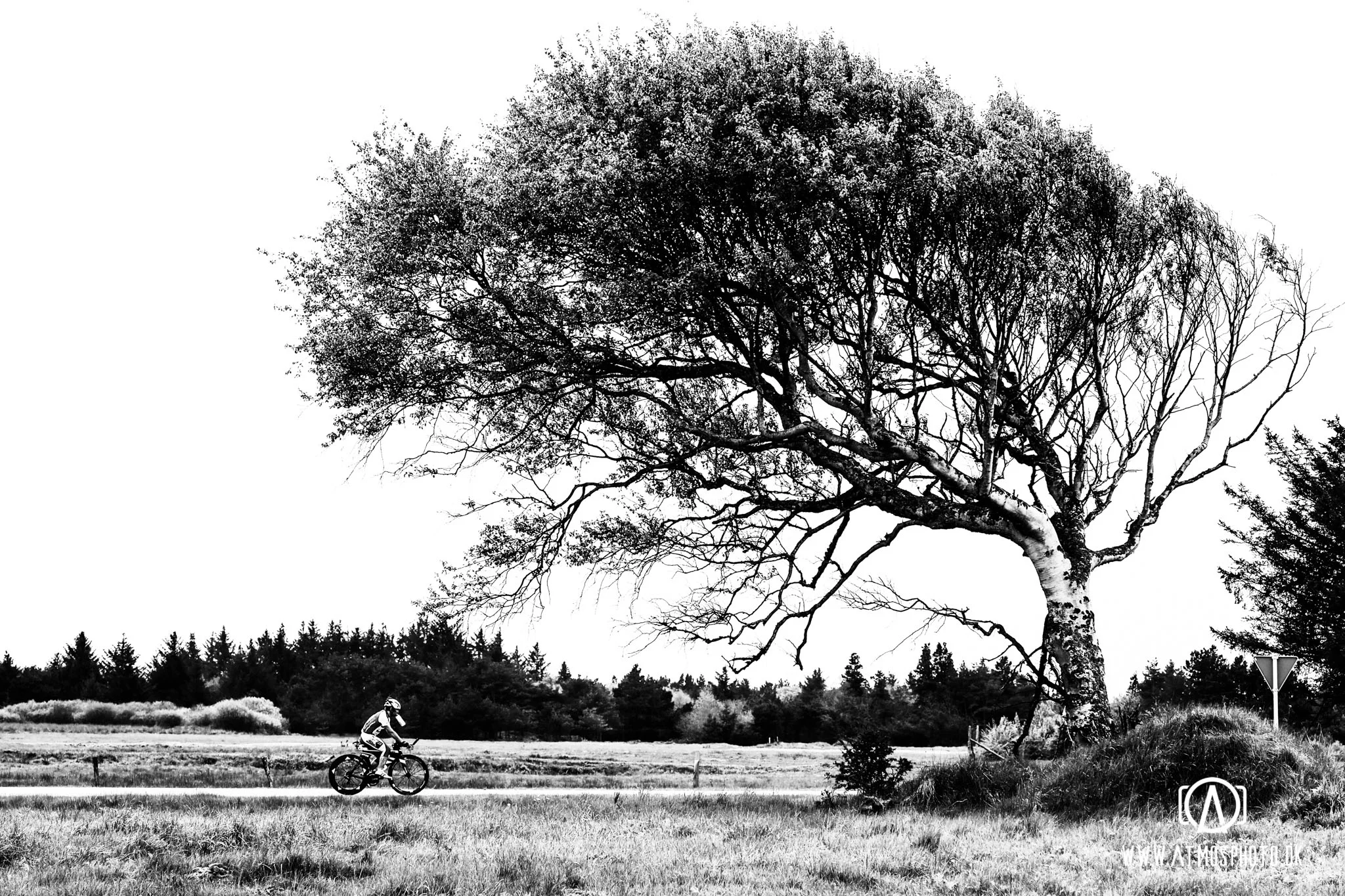 Helnæs24_AtmosPhoto_2048x-5.jpg