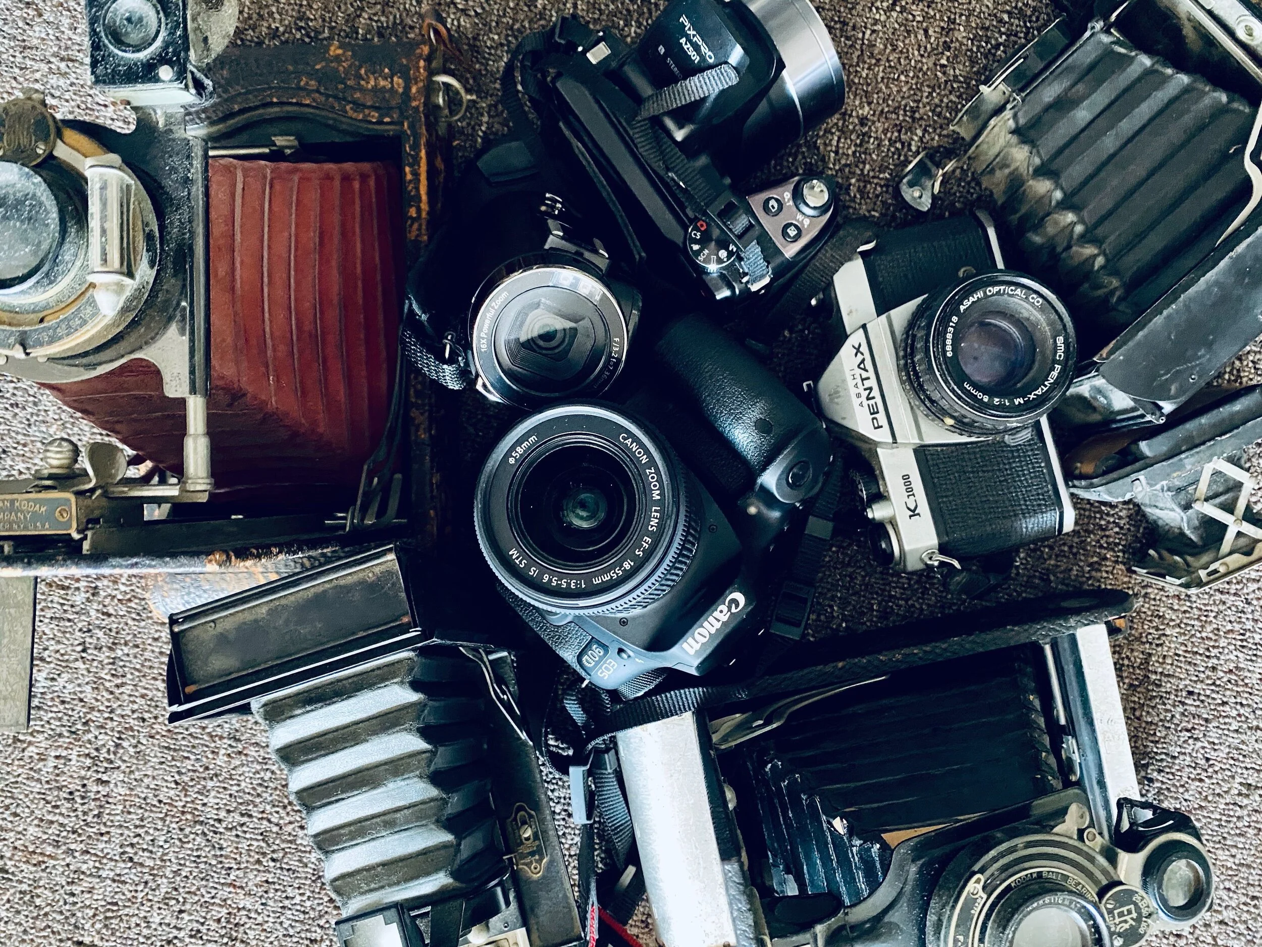 IMG_2703.jpg
