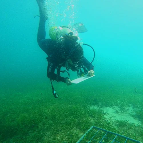 Falling for Sustain+Ability