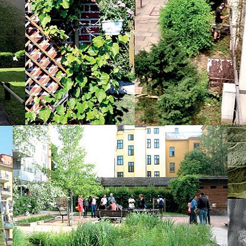 Launching 2020 Summer