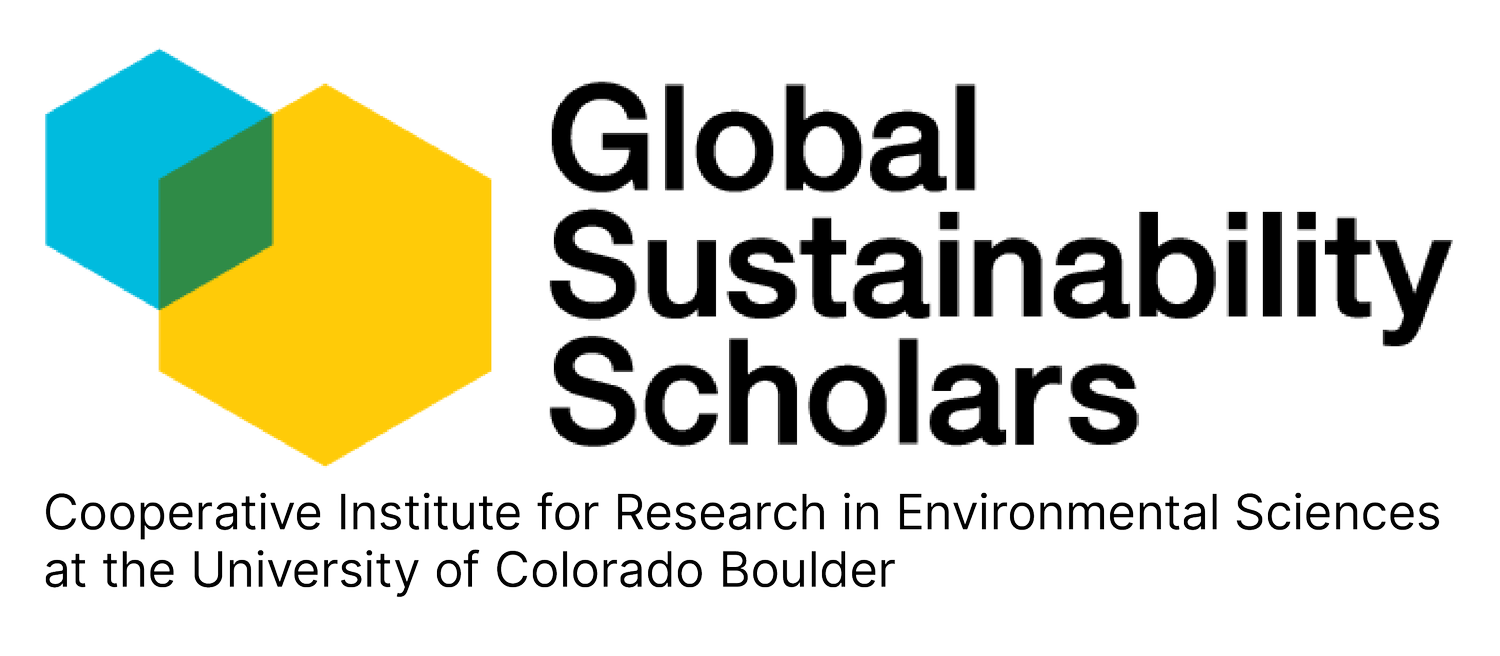 Global Sustainability Scholars