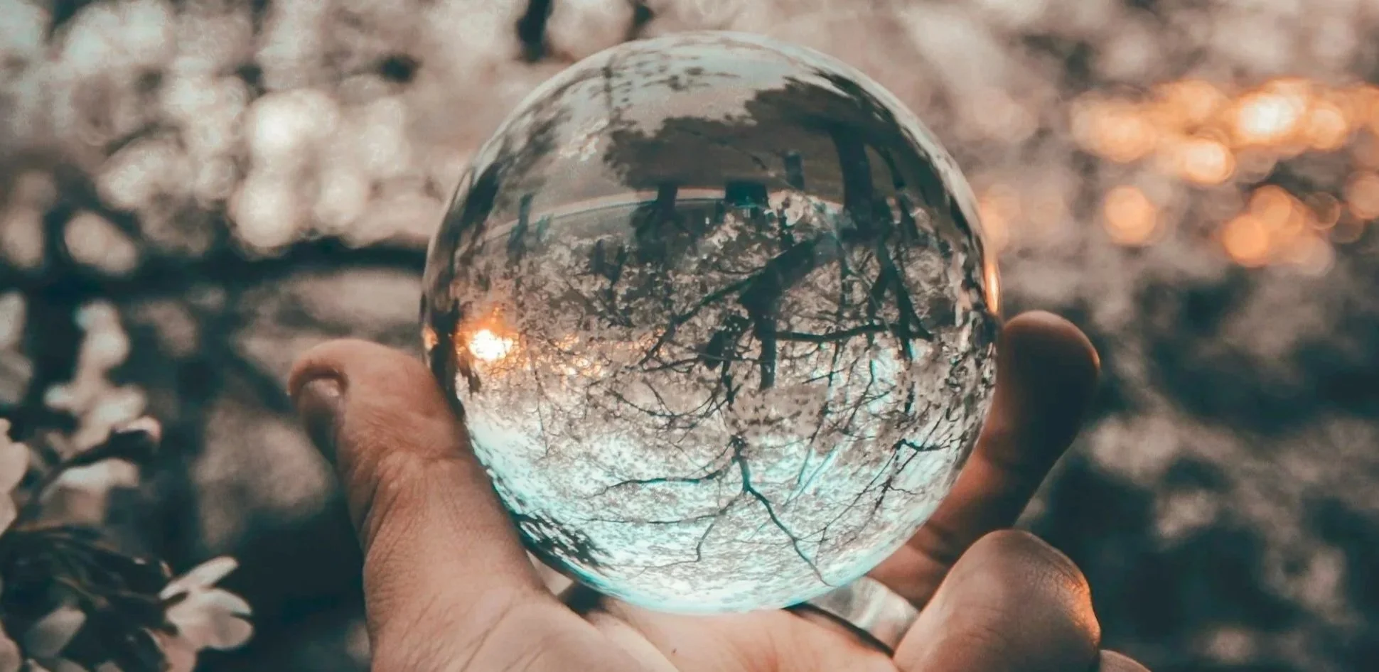 Pause • Reflect • Honor