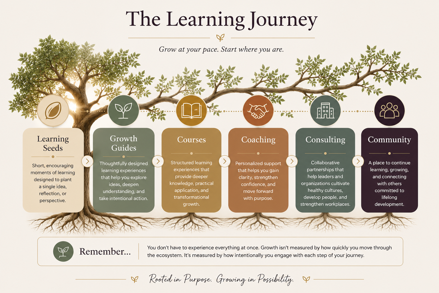 Illustration of the TWIDWID Learning Journey, showing how learners move through intentional reflection, practical learning, meaningful action, and continuous growth as part of the transformation process.  I like this because it: