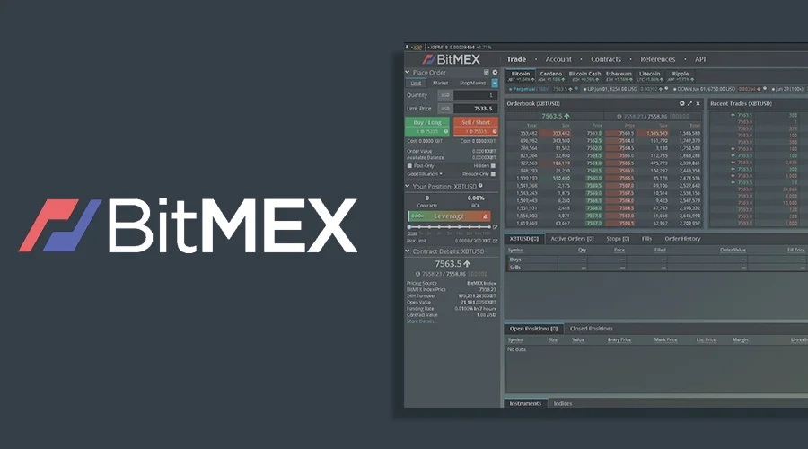 bitmexReviewCover (1).jpg