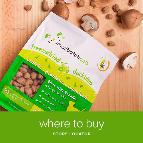 small batch raw food