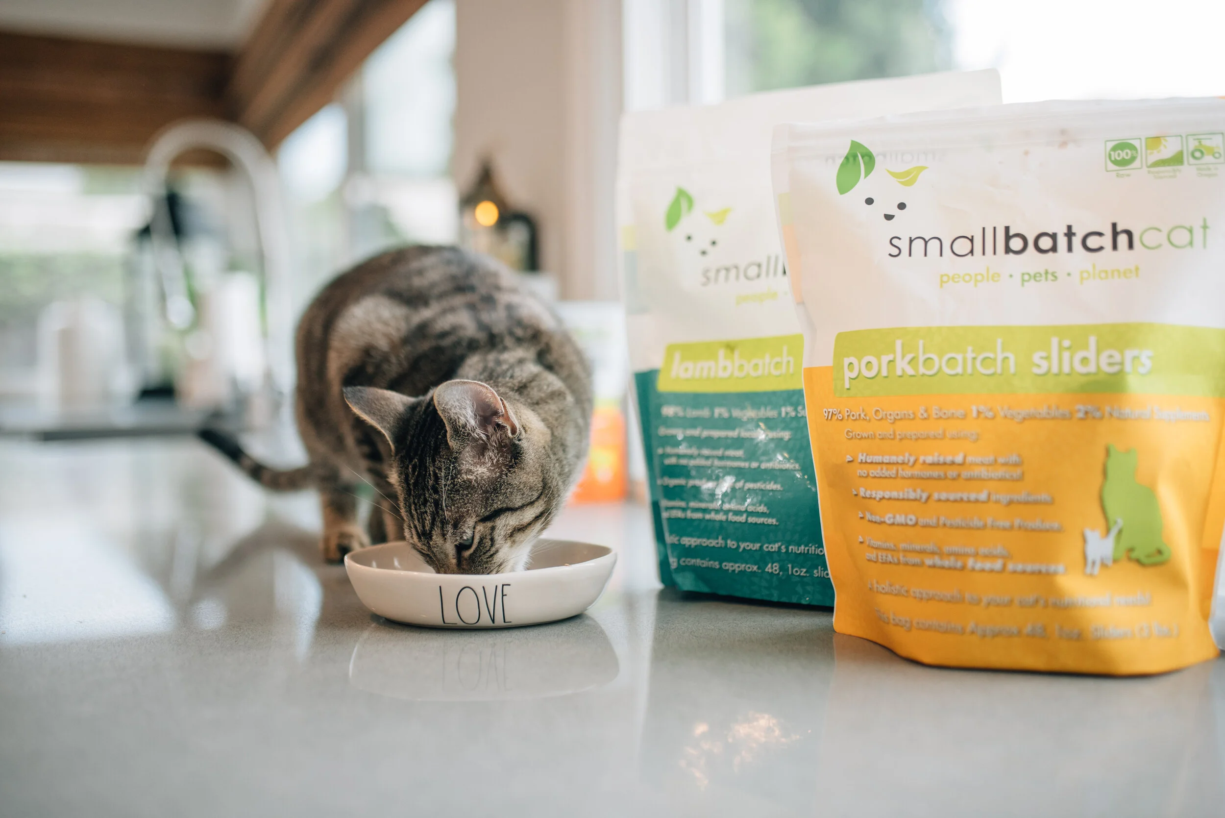 small batch cat